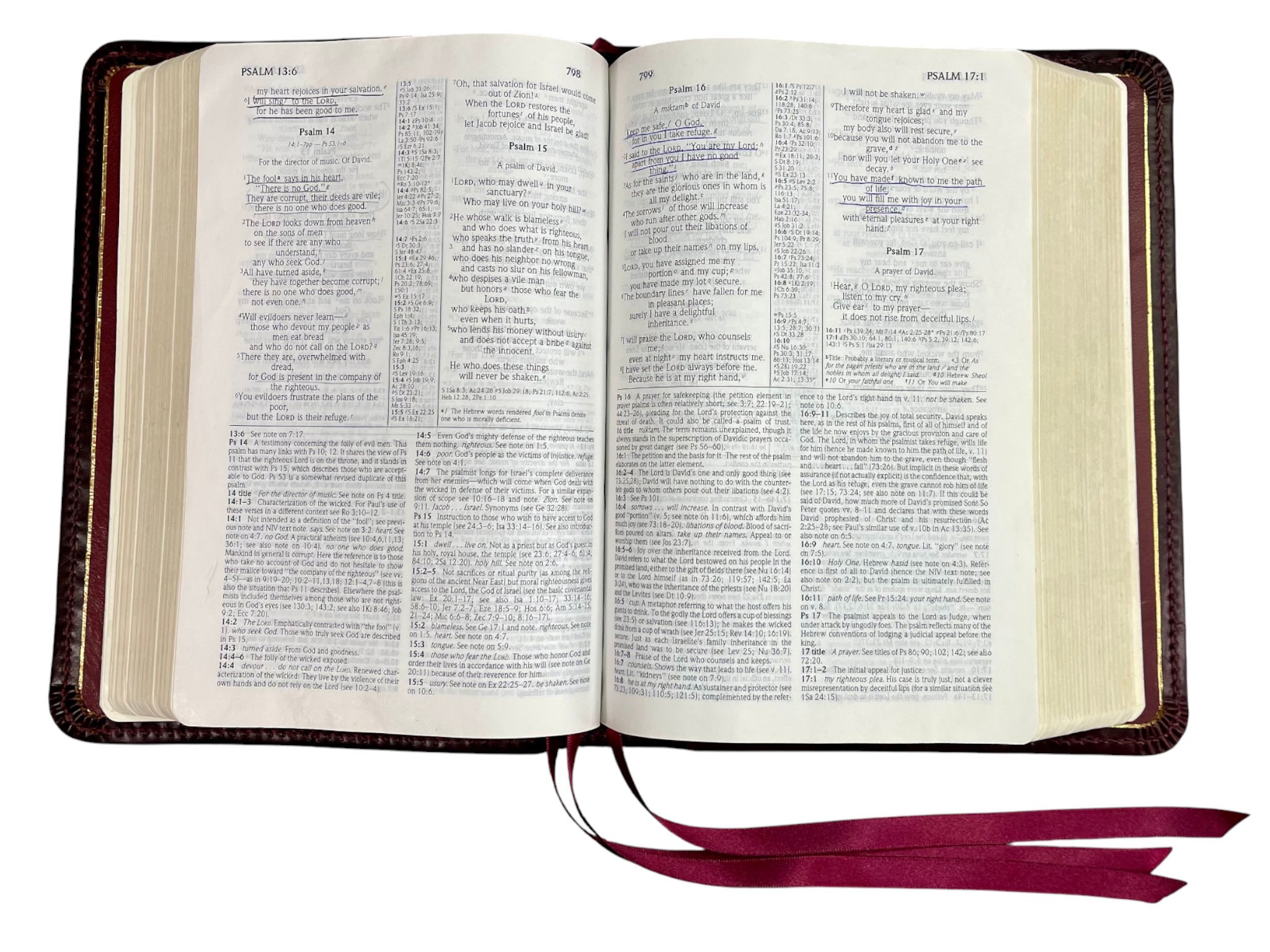 Oxblood Double Shot 10087.jpg