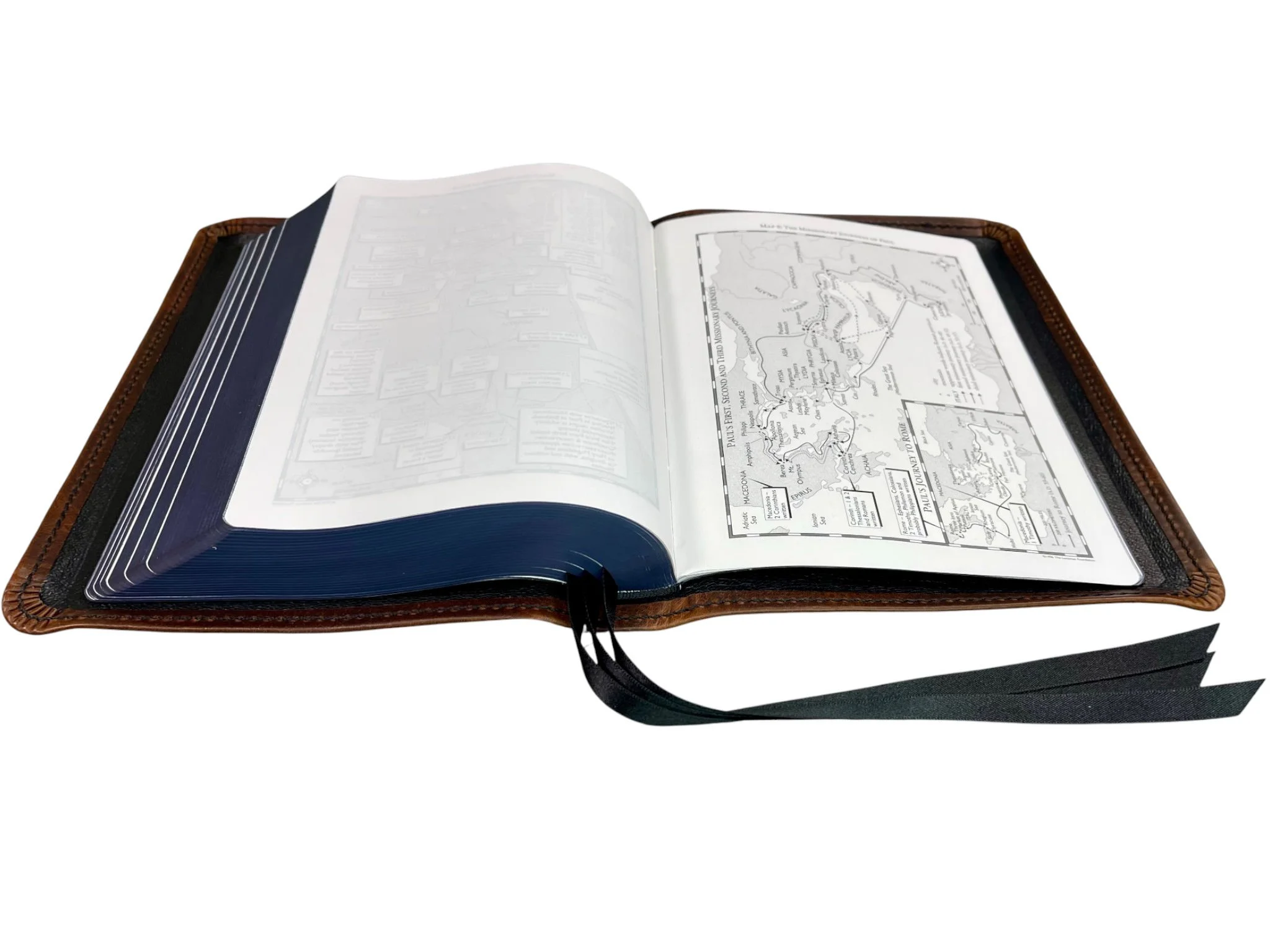 Walnut Waxy LSB ICR10.jpg