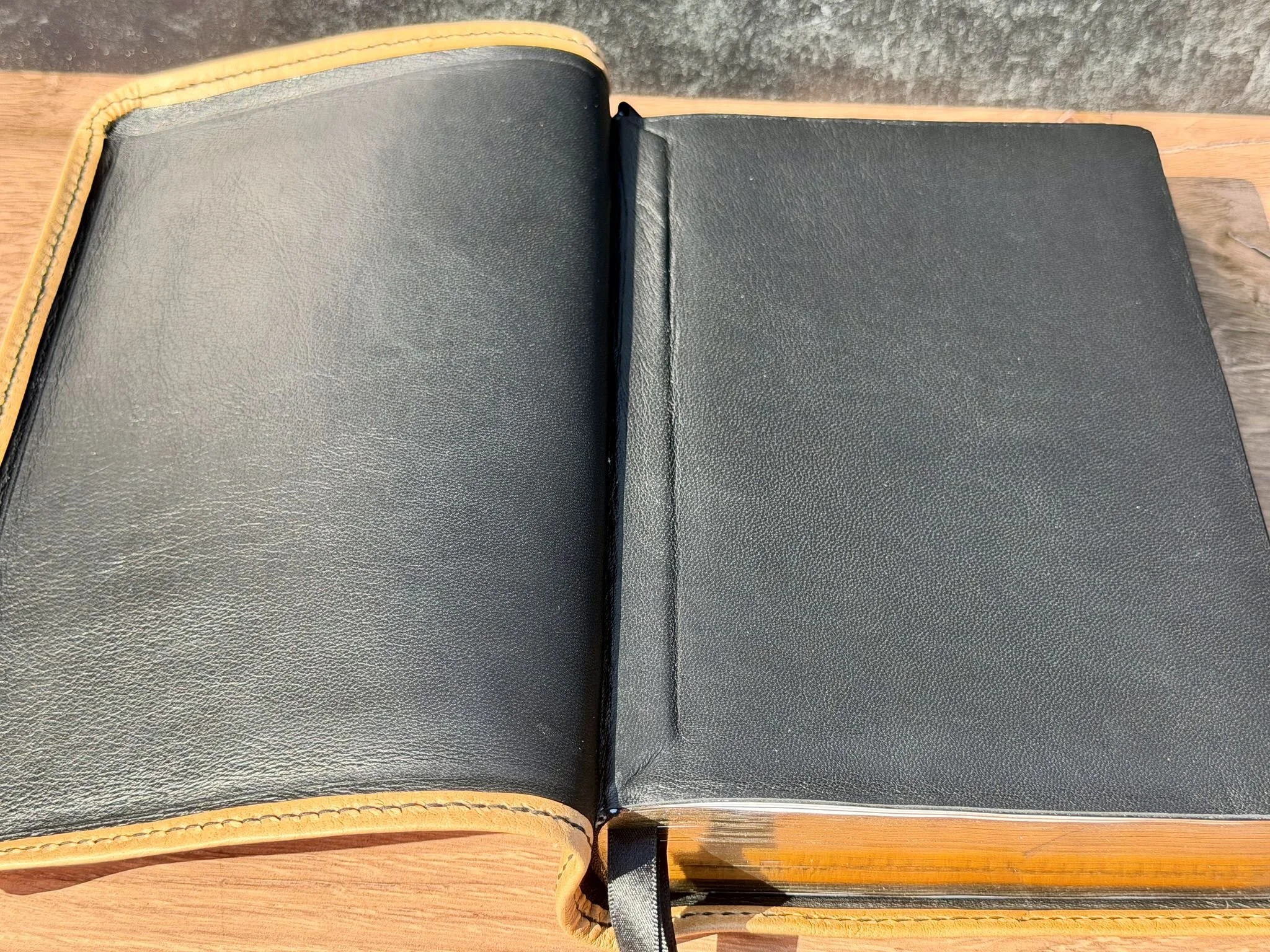 BoneMinervaBox0902268.jpg