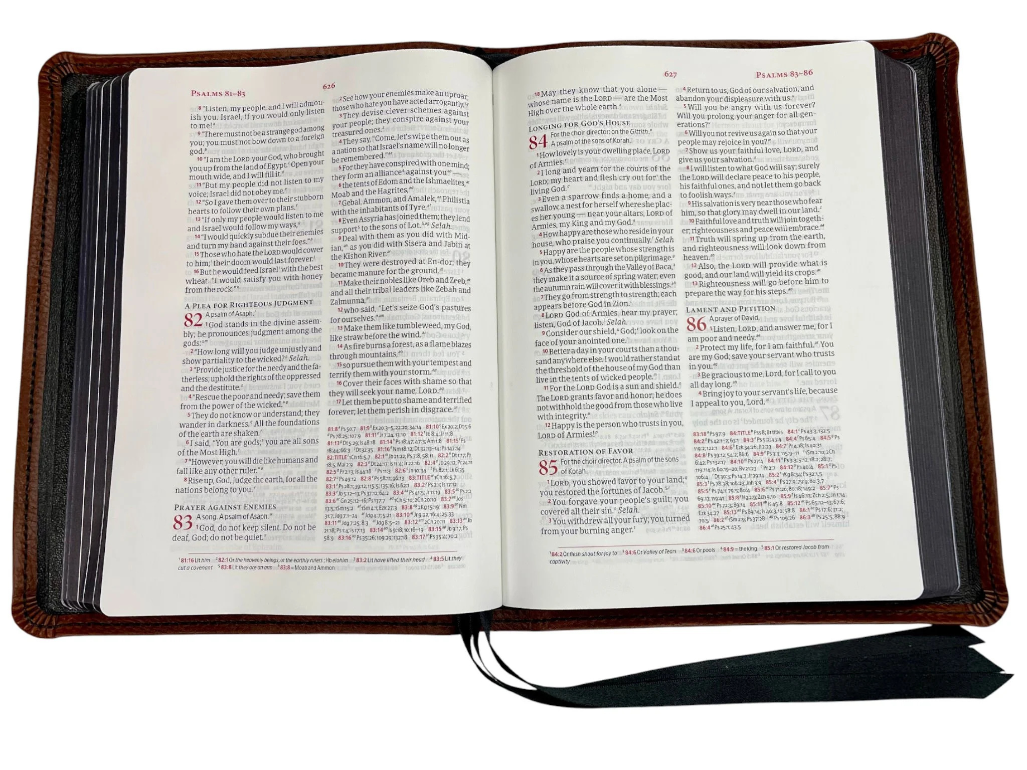 Walnut Minerva Box Store8.jpg