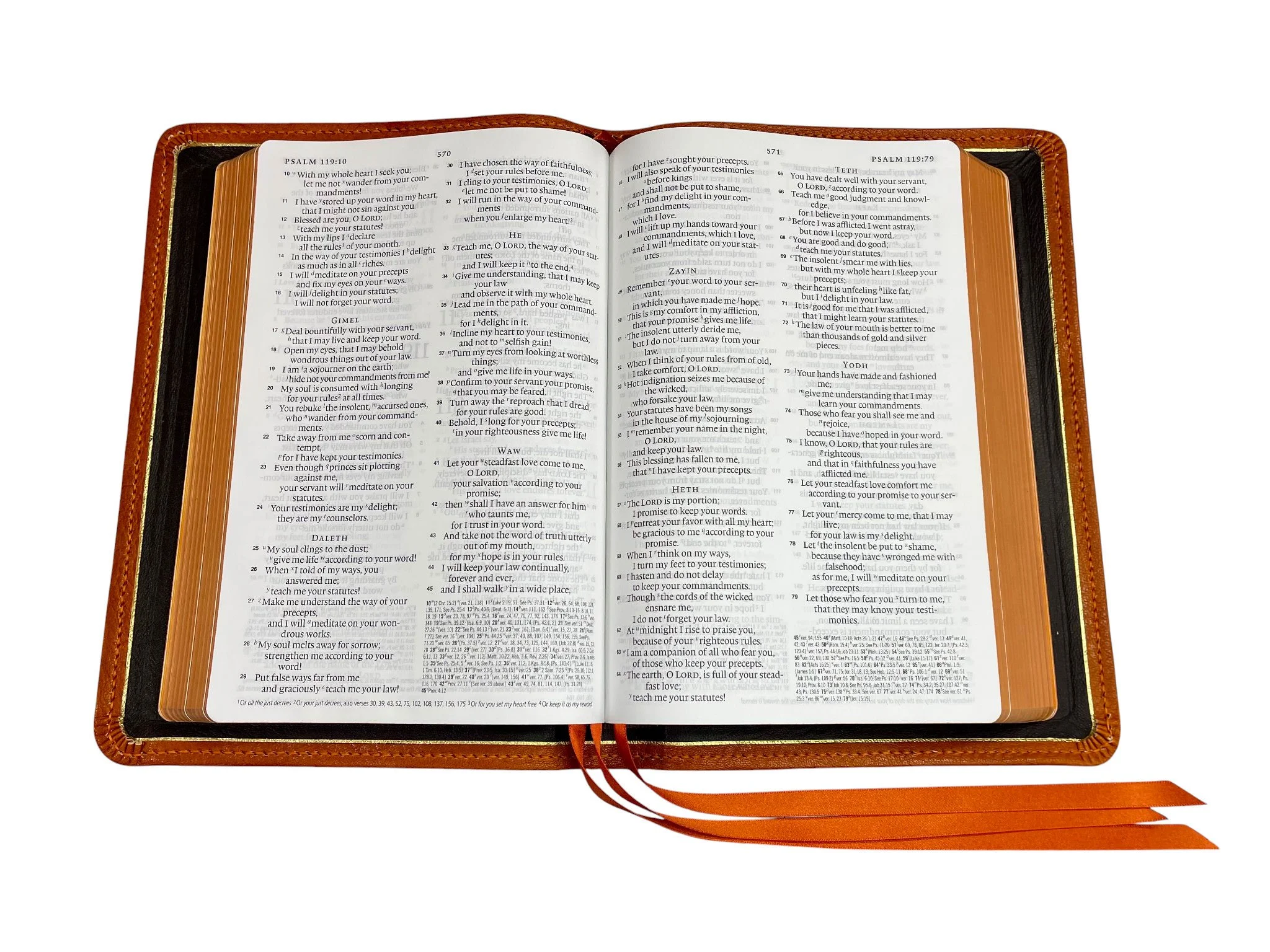 Saddle Tan Levant9.jpg