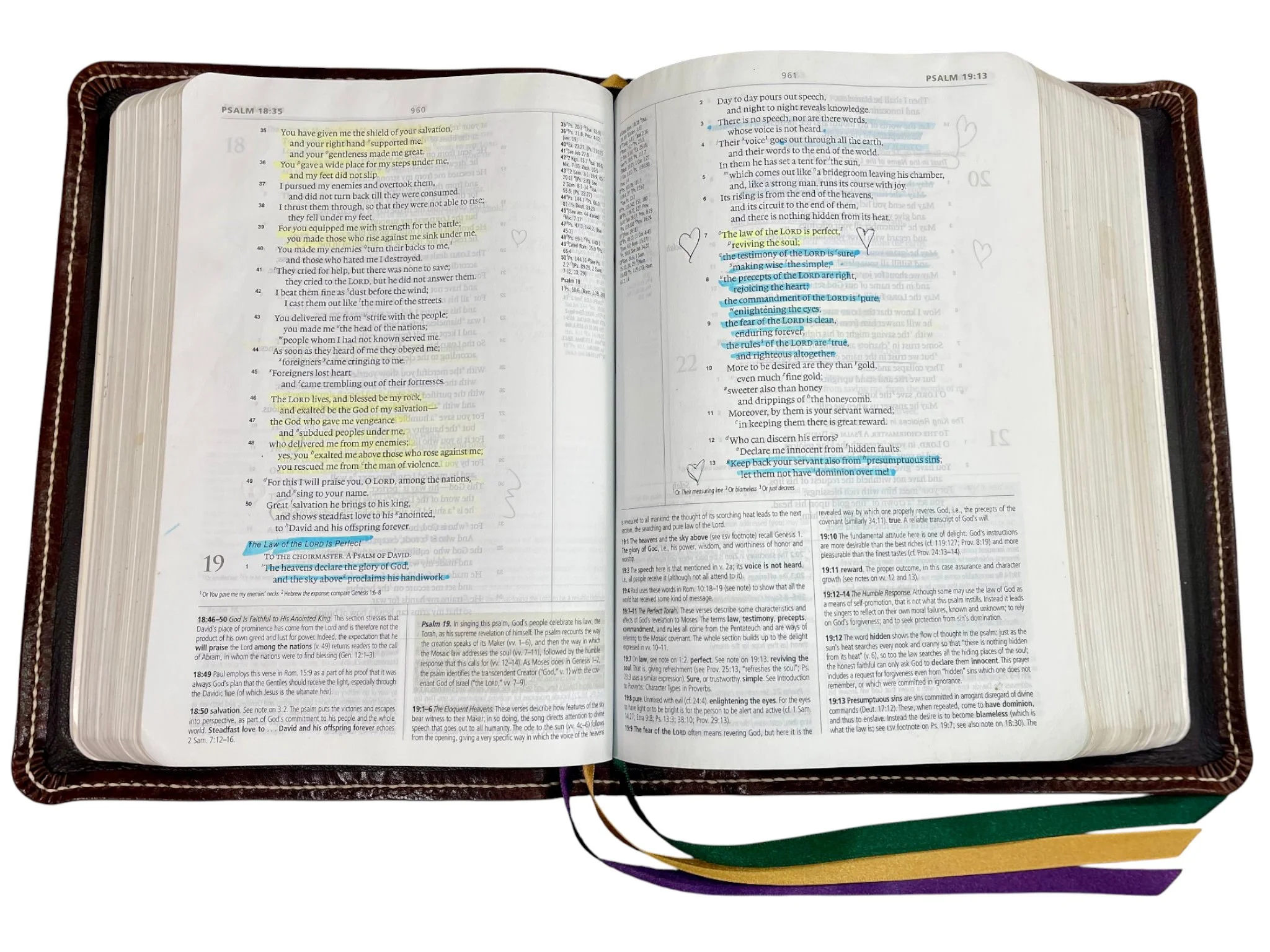 Walnut Loch Ness 8167.jpg