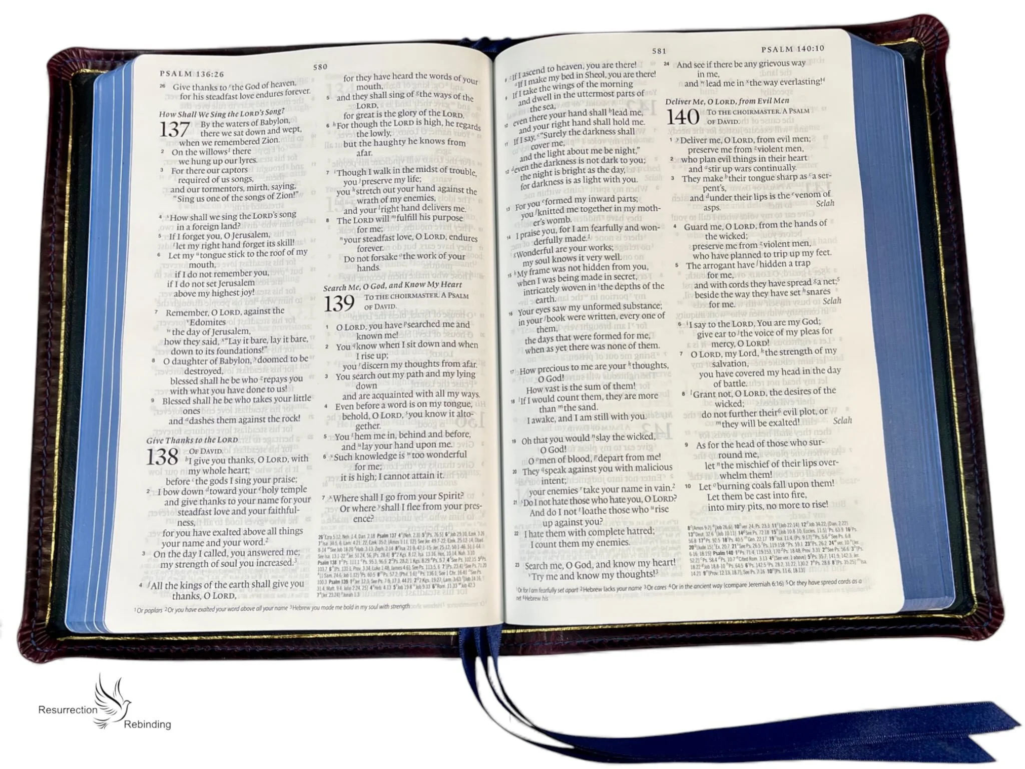 Violet Waxy Sale6.jpeg