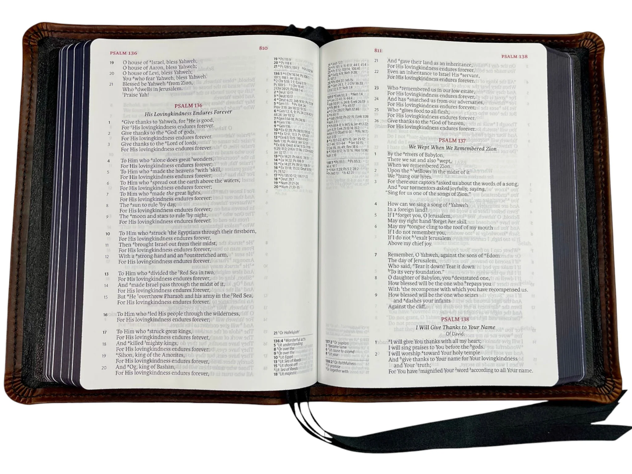 Walnut Waxy LSB ICR7.jpg