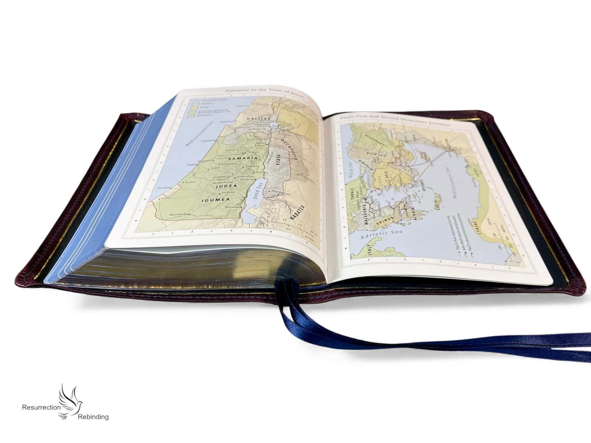 Violet Waxy Sale9.jpeg