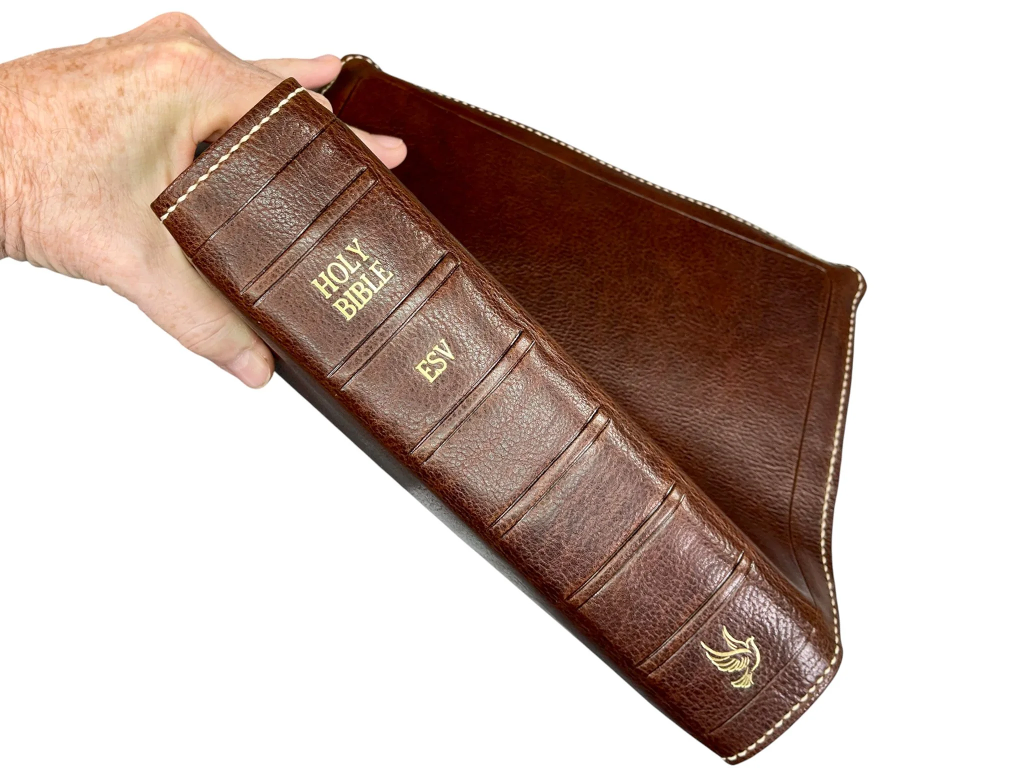 Walnut Loch Ness 8165.jpg