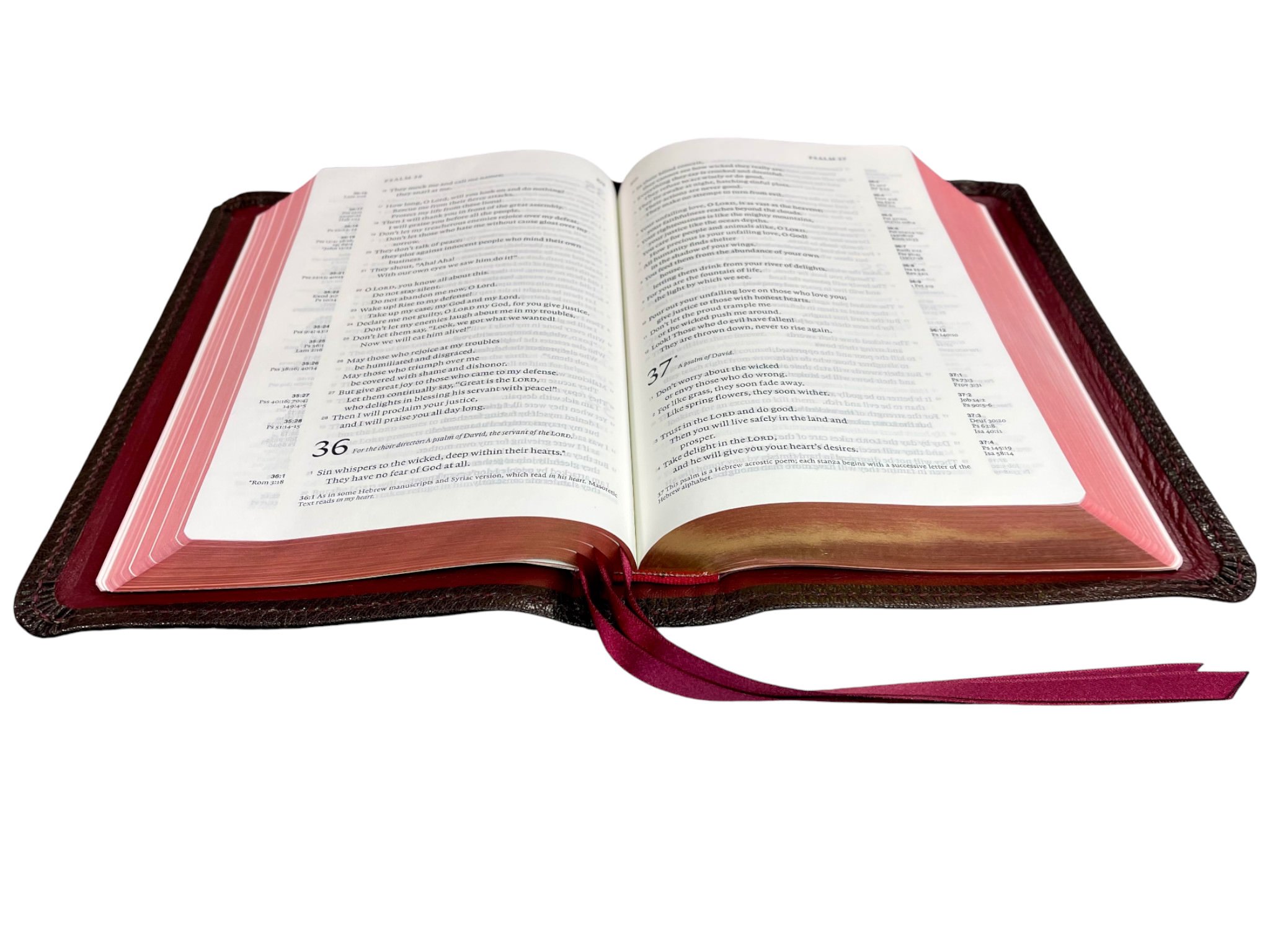 Mocha Levant 8258.jpg