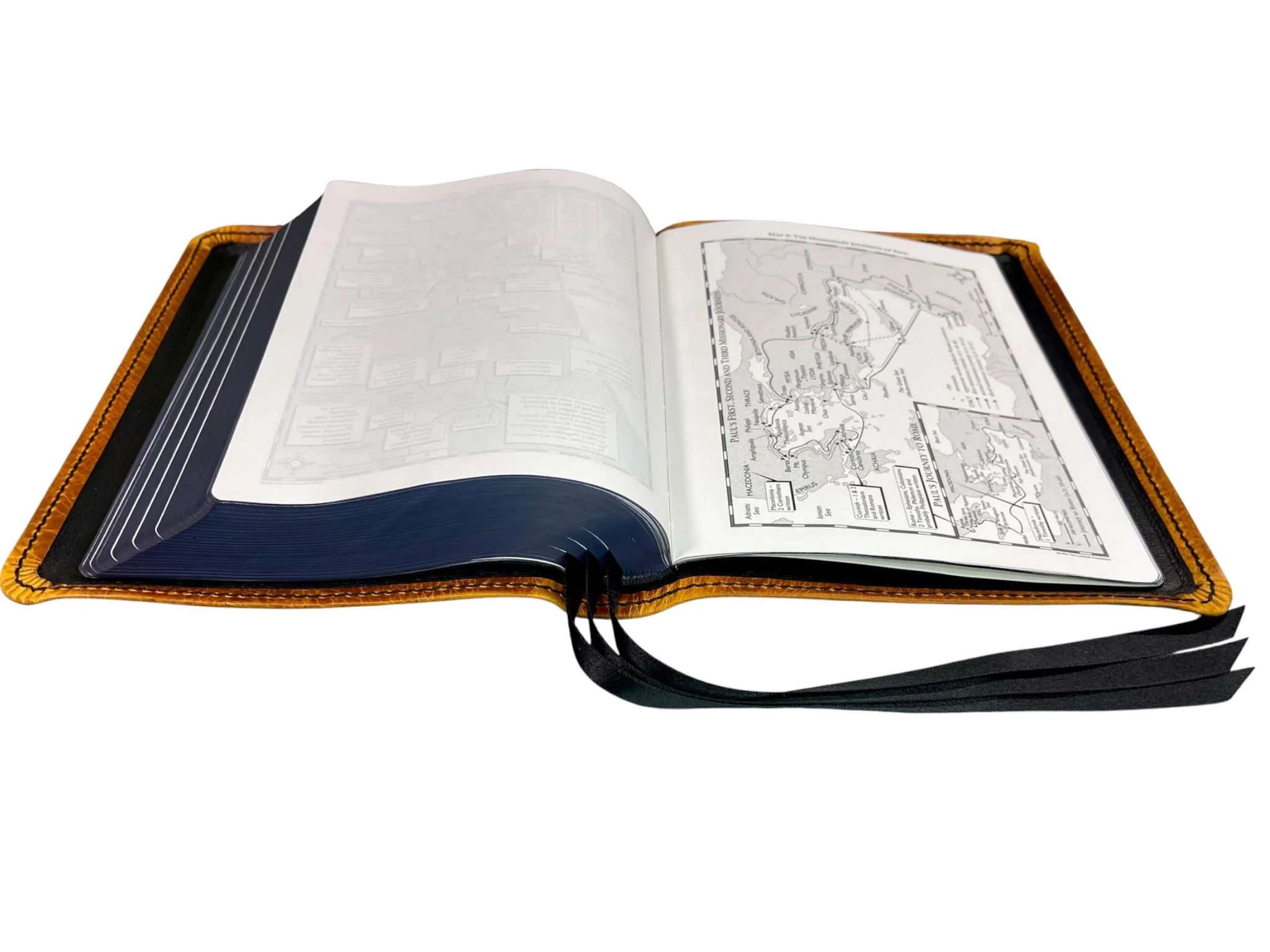 Golden Yellow Waxy LSB ICR9-2.jpg