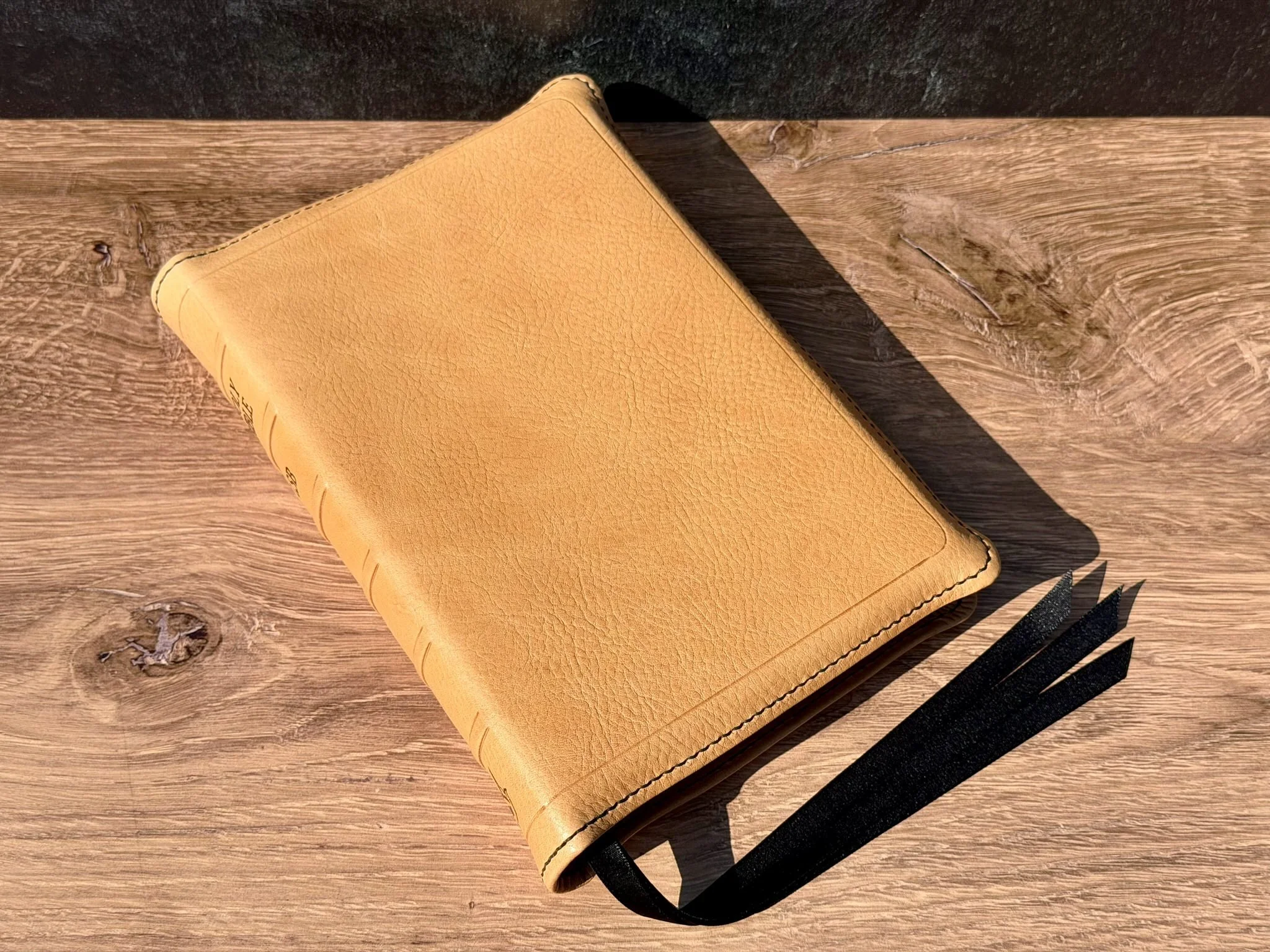 BoneMinervaBox0902261.jpg
