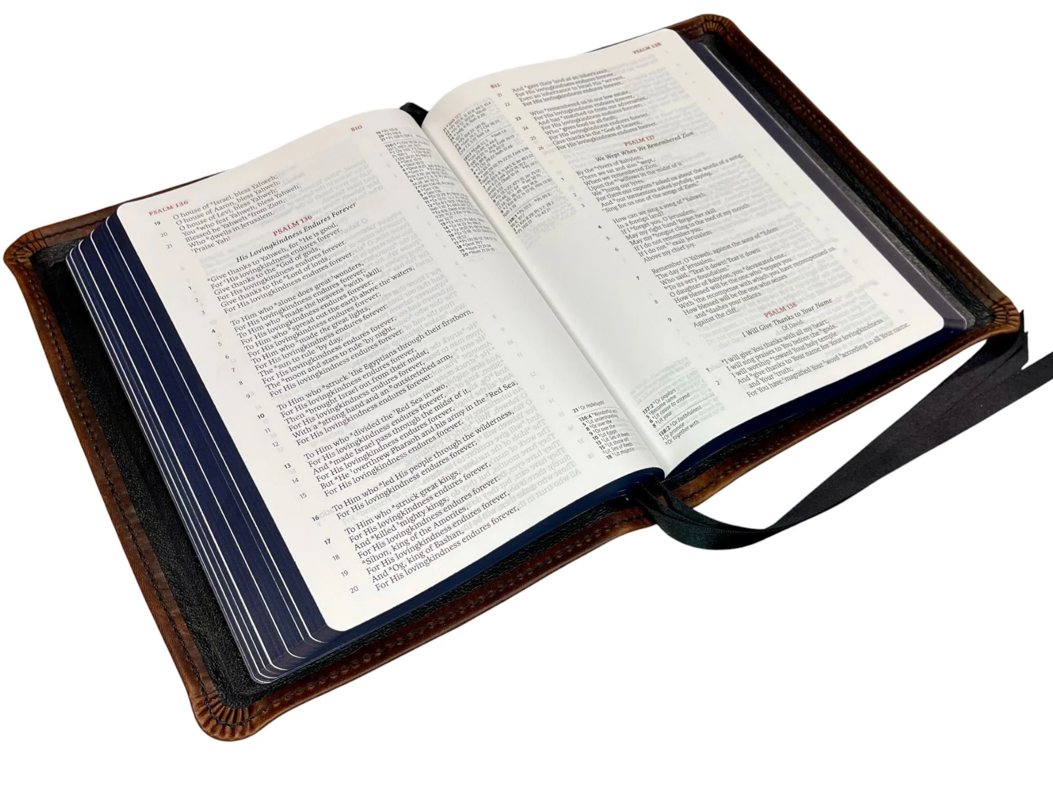 Walnut Waxy LSB ICR8.jpg