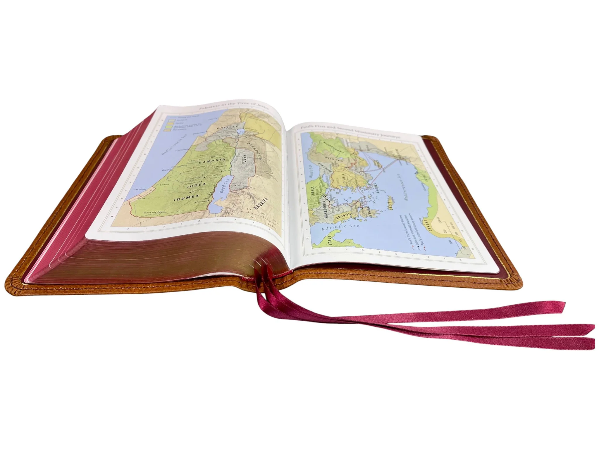 Cognac Minerva Box12.jpg