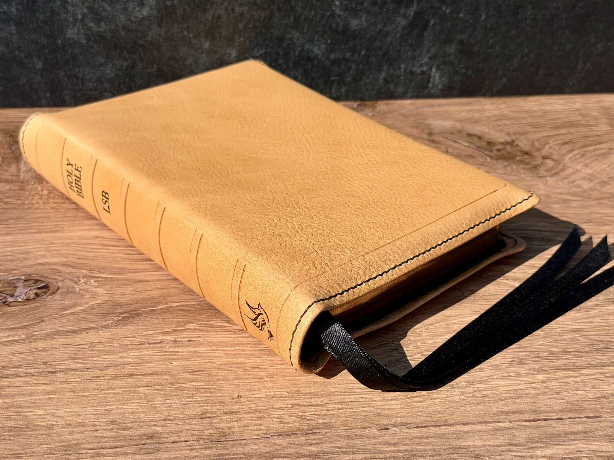 BoneMinervaBox0902262.jpg