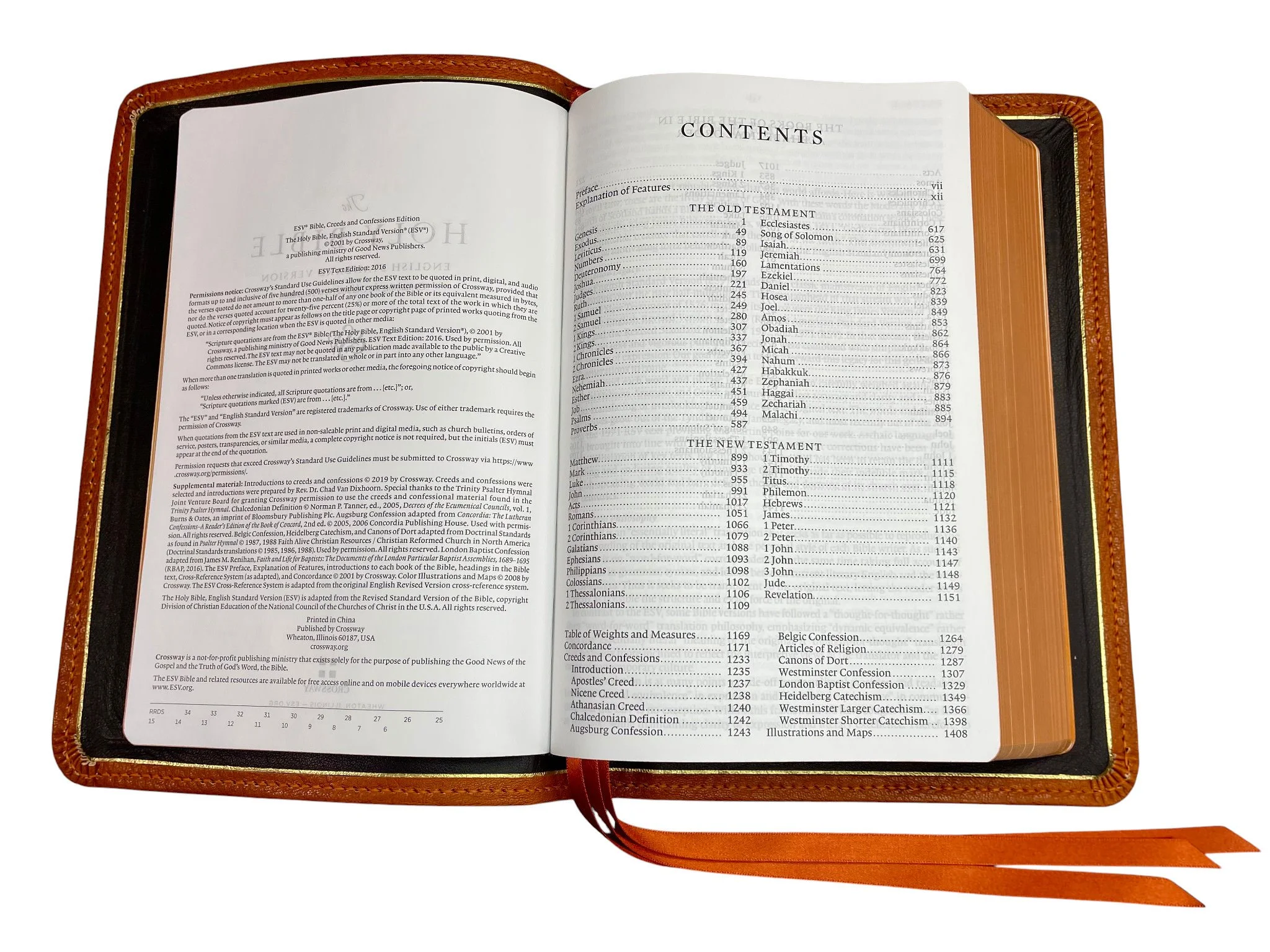 Saddle Tan Levant11.jpg