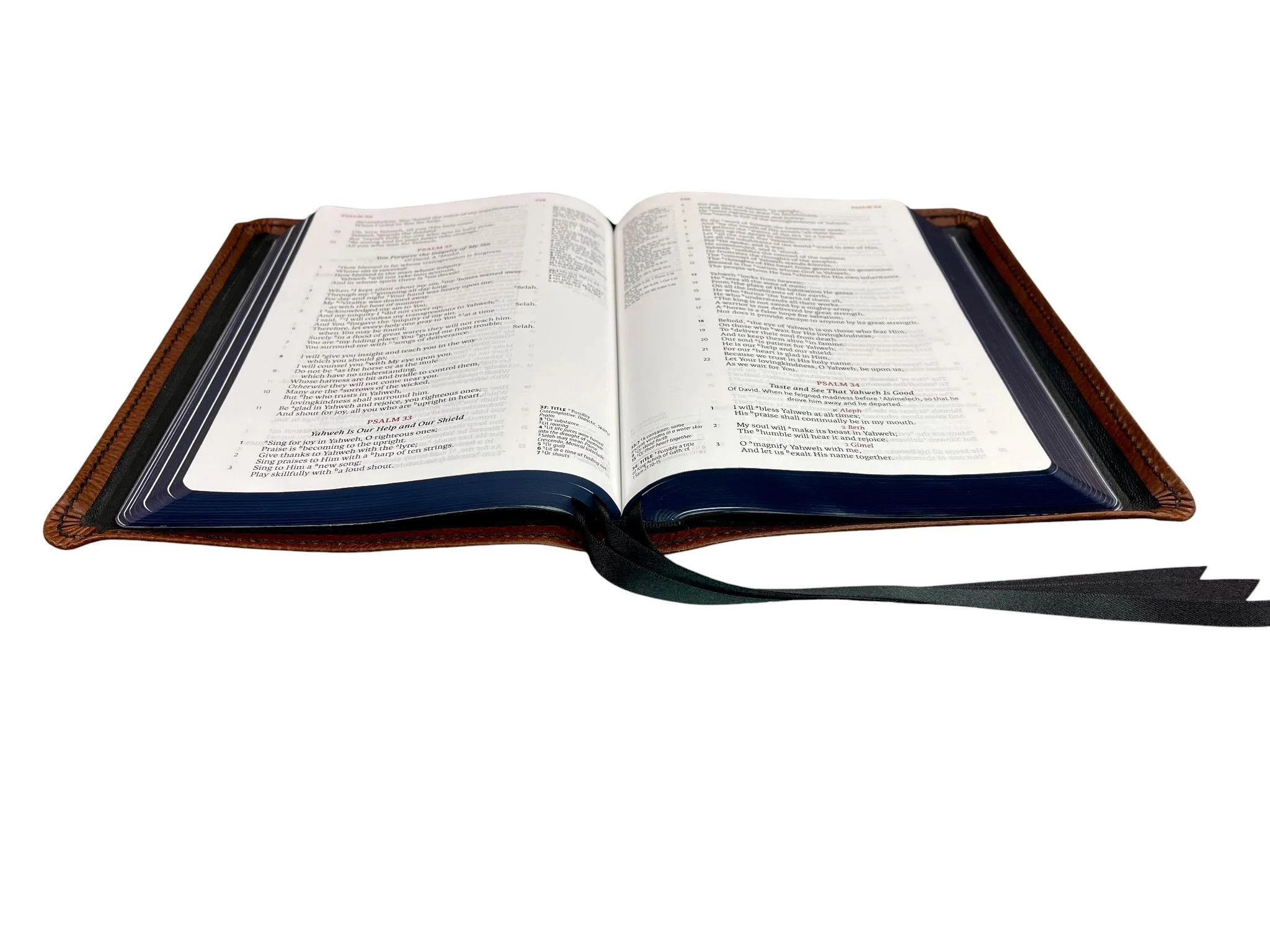 Walnut Badalassi Minerva Box12.jpg