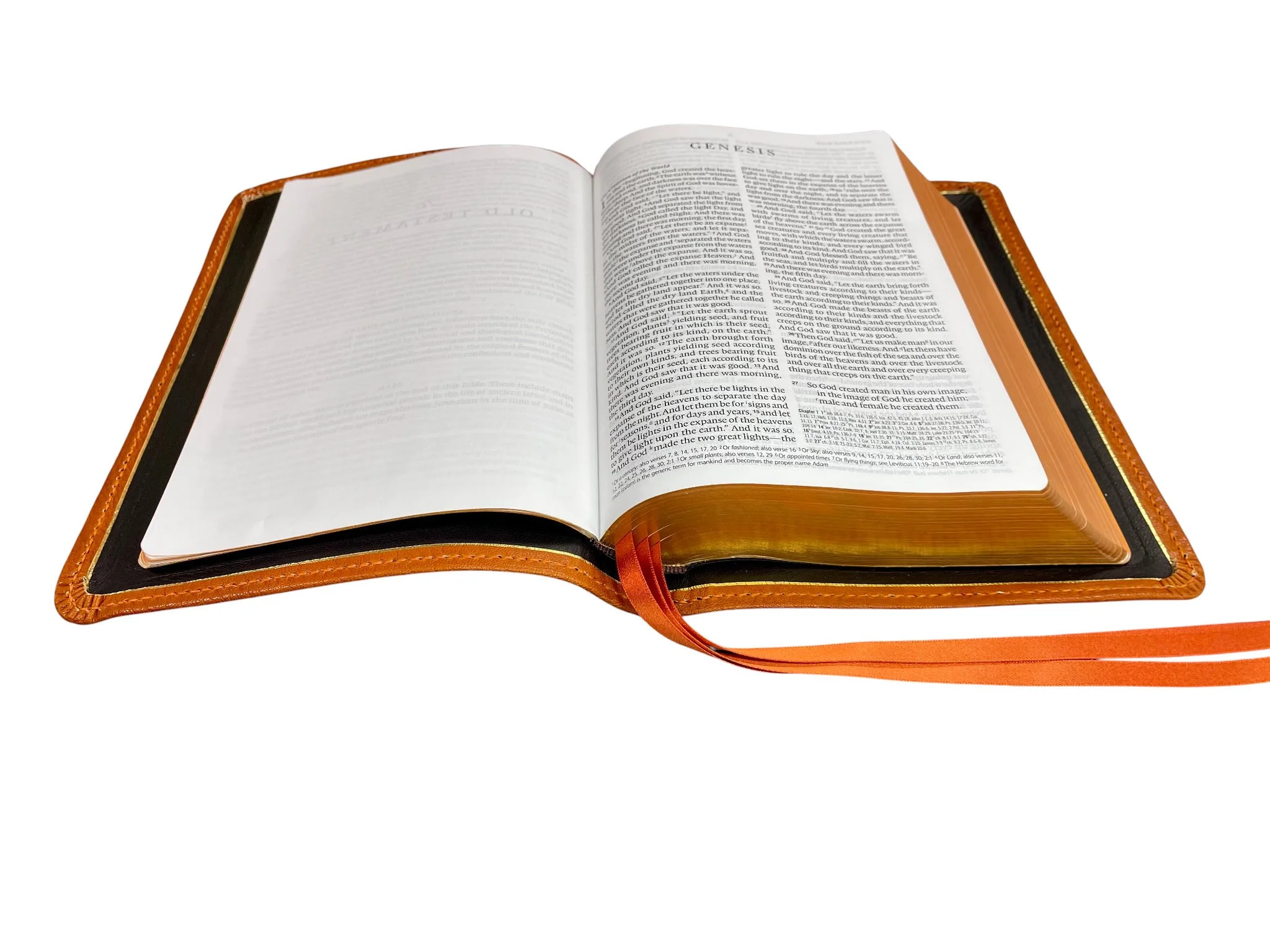 Saddle Tan Levant12.jpg