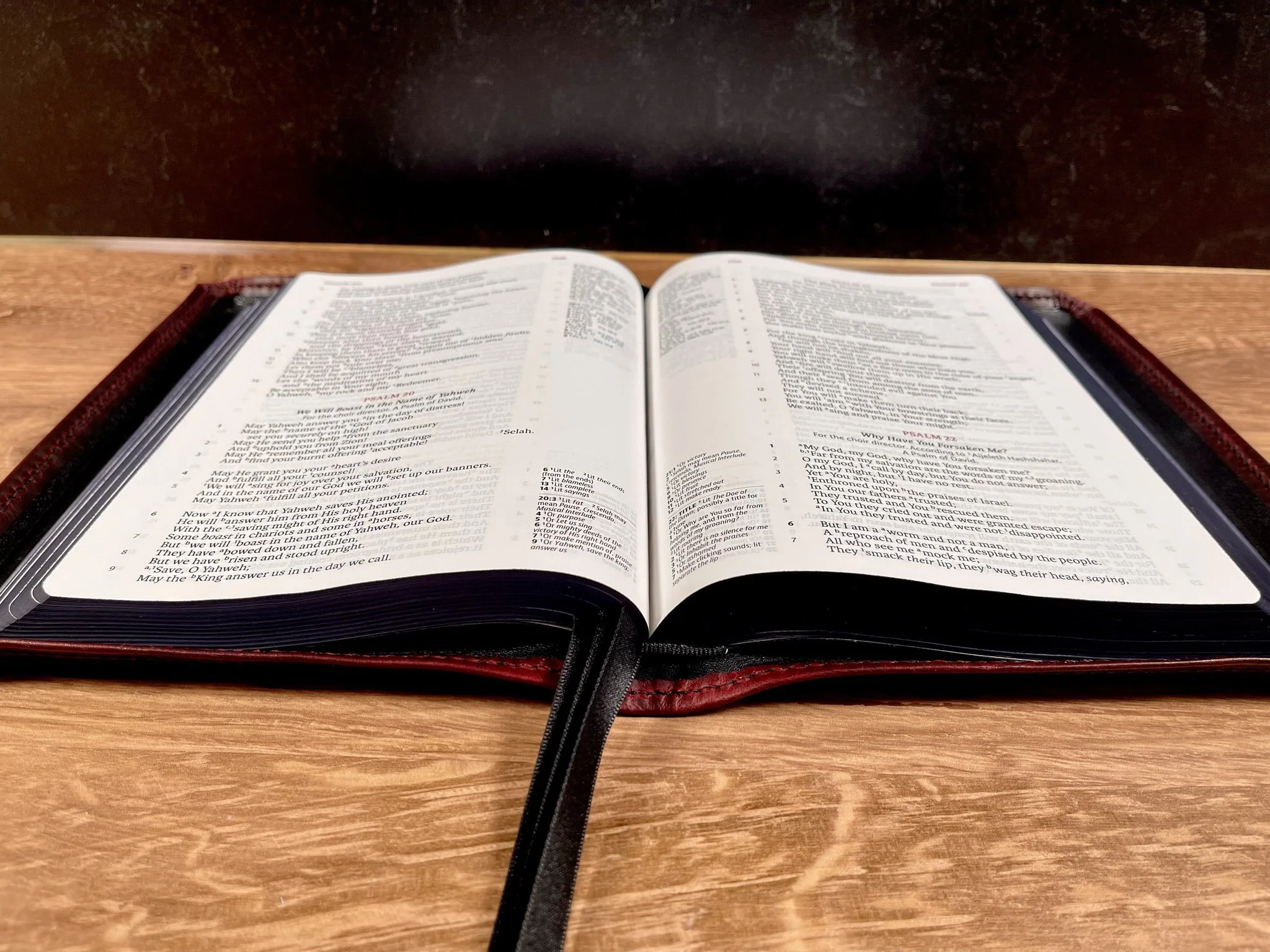 Bordeaux Waxy3.9.266.jpg