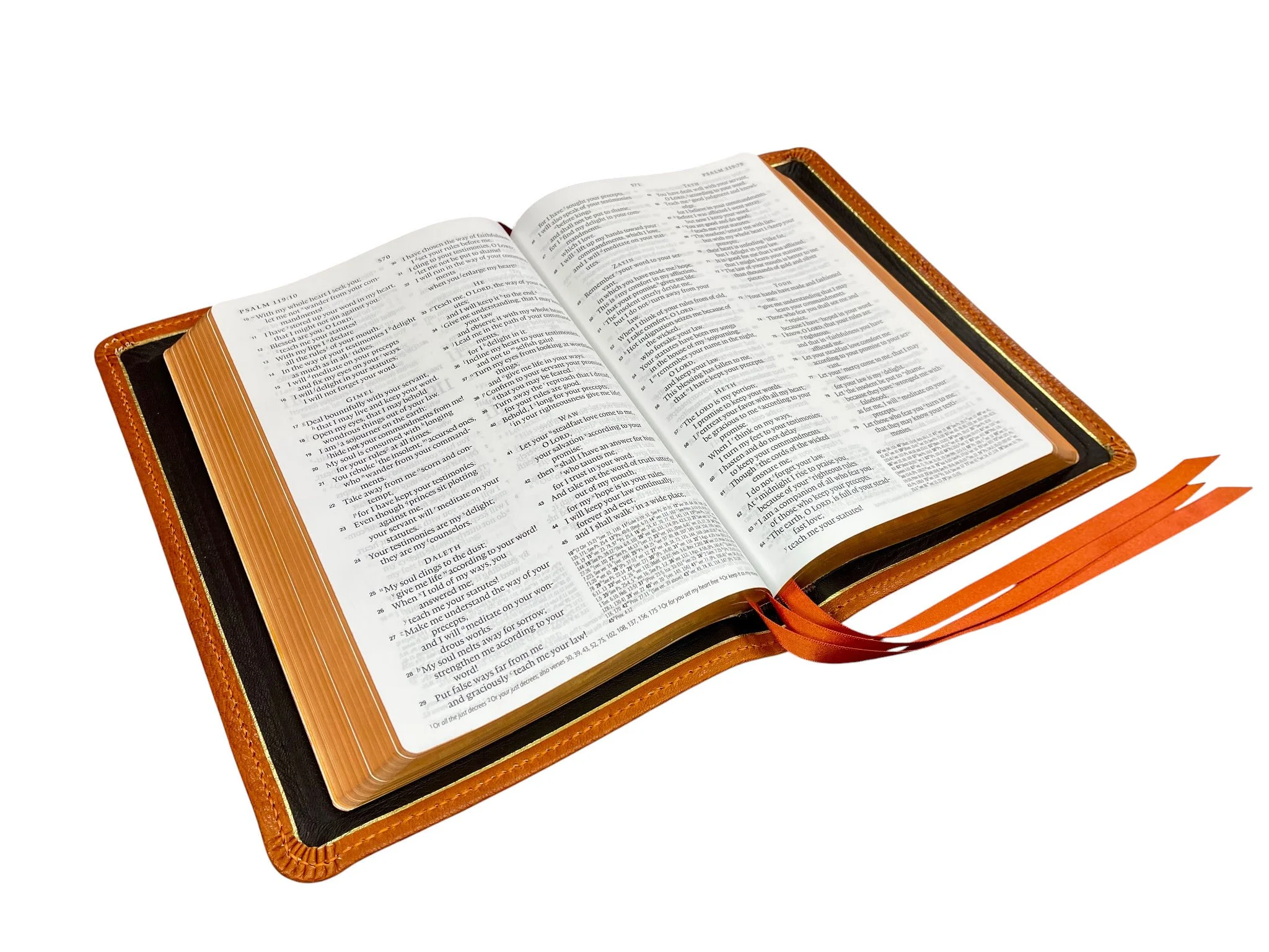 Saddle Tan Levant10.jpg