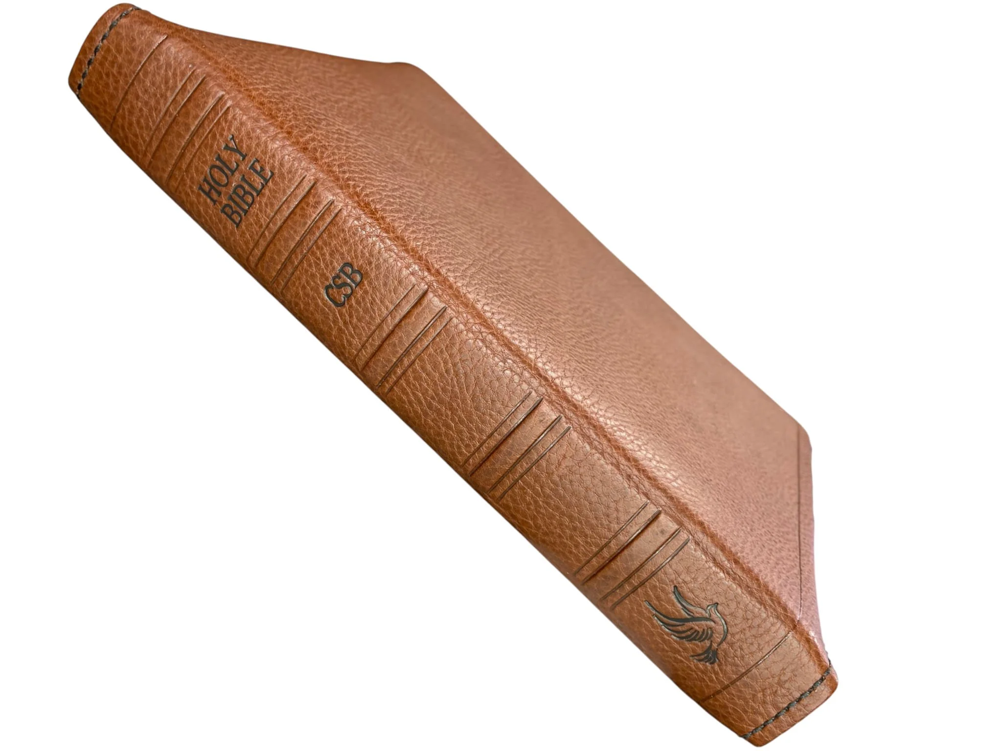 Walnut Minerva Box Store4.jpg