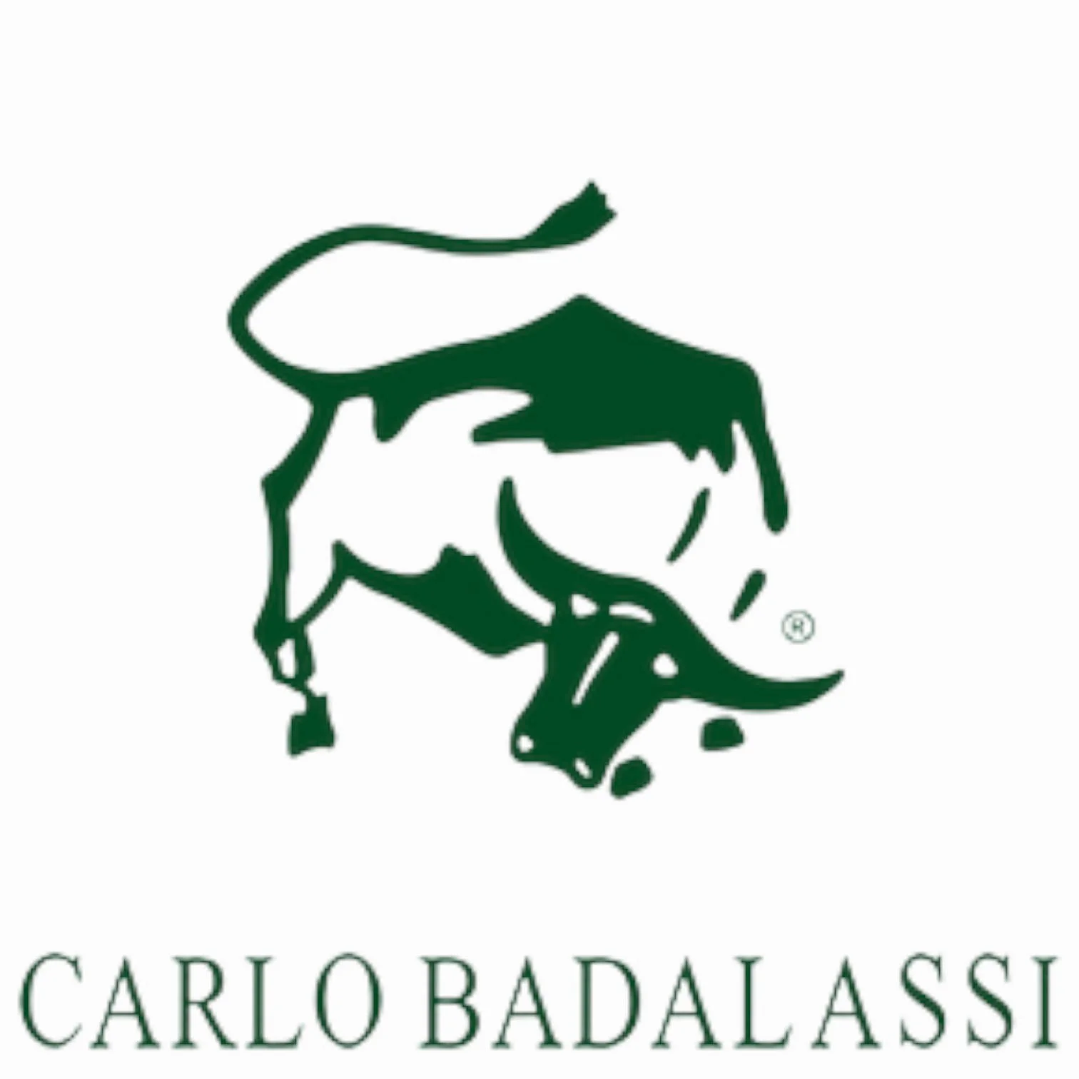 badalassicarlo-logo(1).jpg