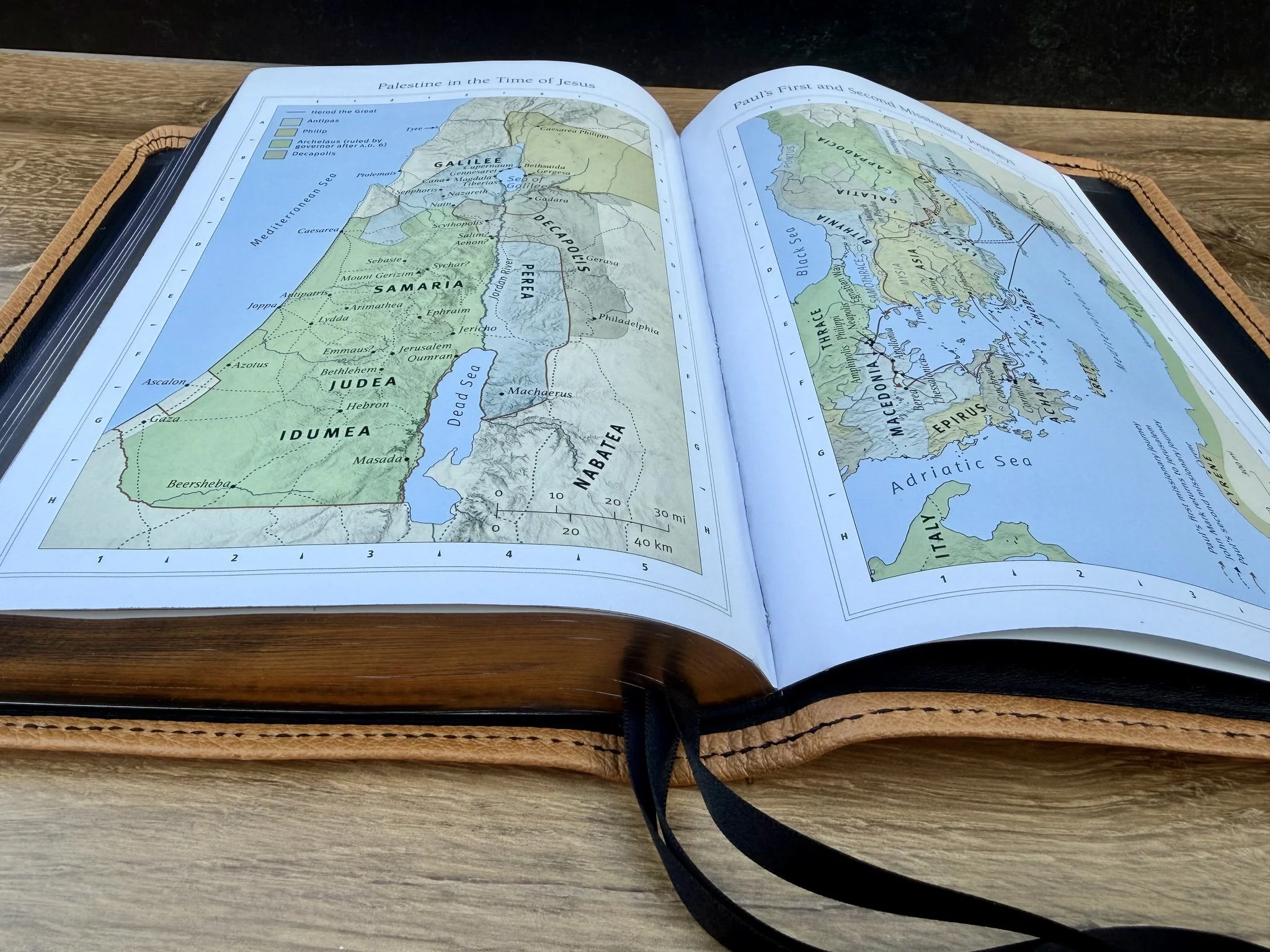 BritishTanLevant08202612.jpg