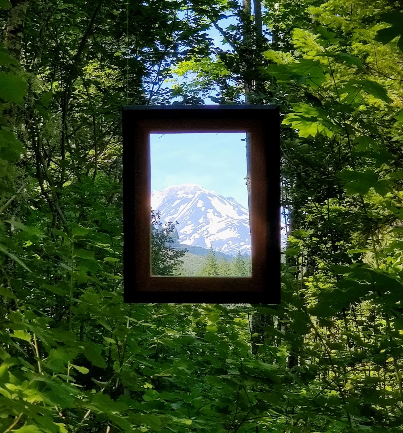 Frame - Mt Adams.JPG