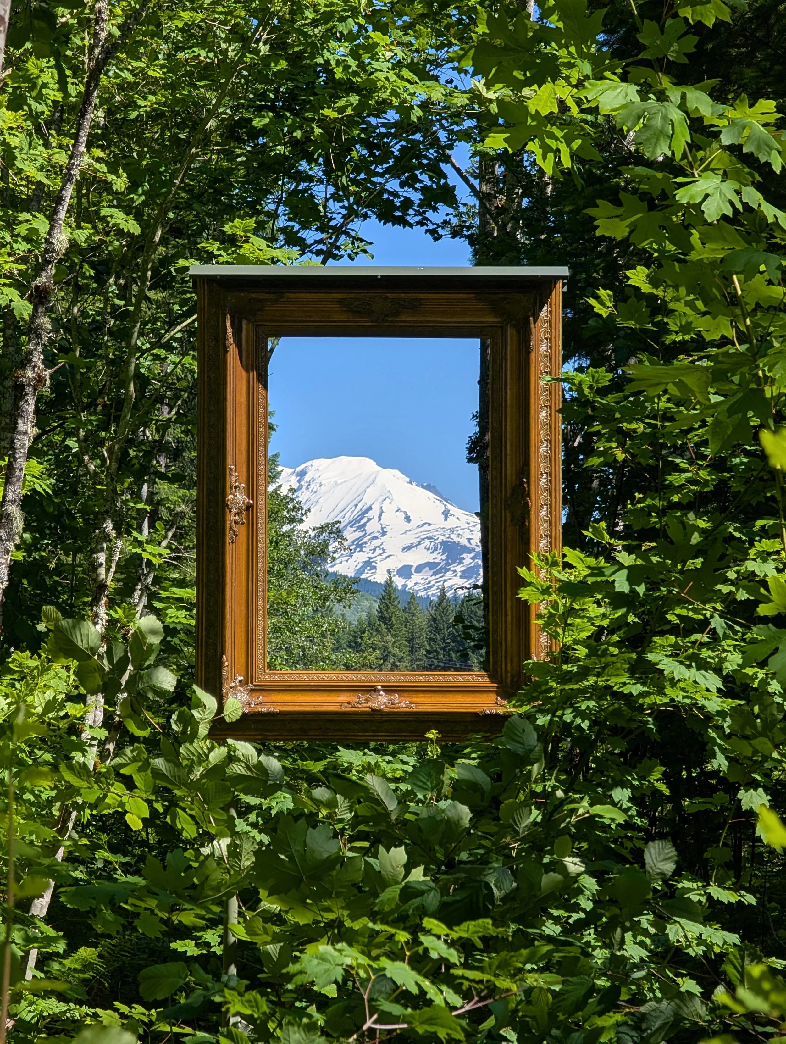 Mt Adams - Framed