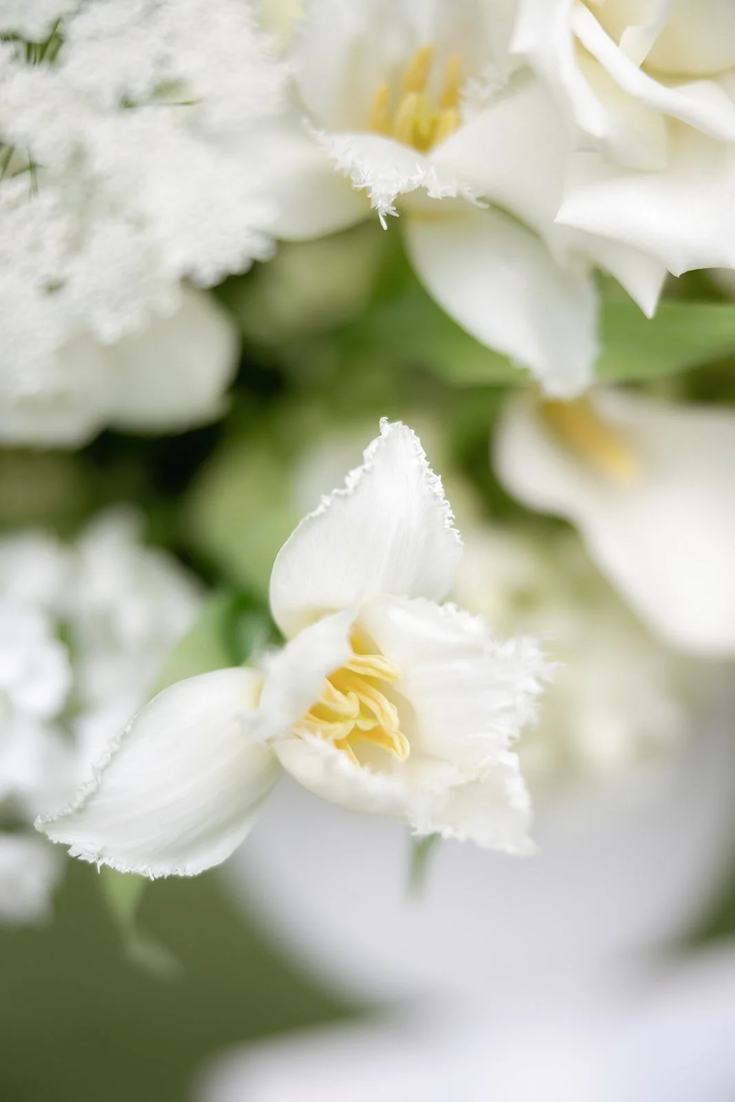 Merrimon-Wynne-M-E-Wedding-Ceremony_-11.jpg