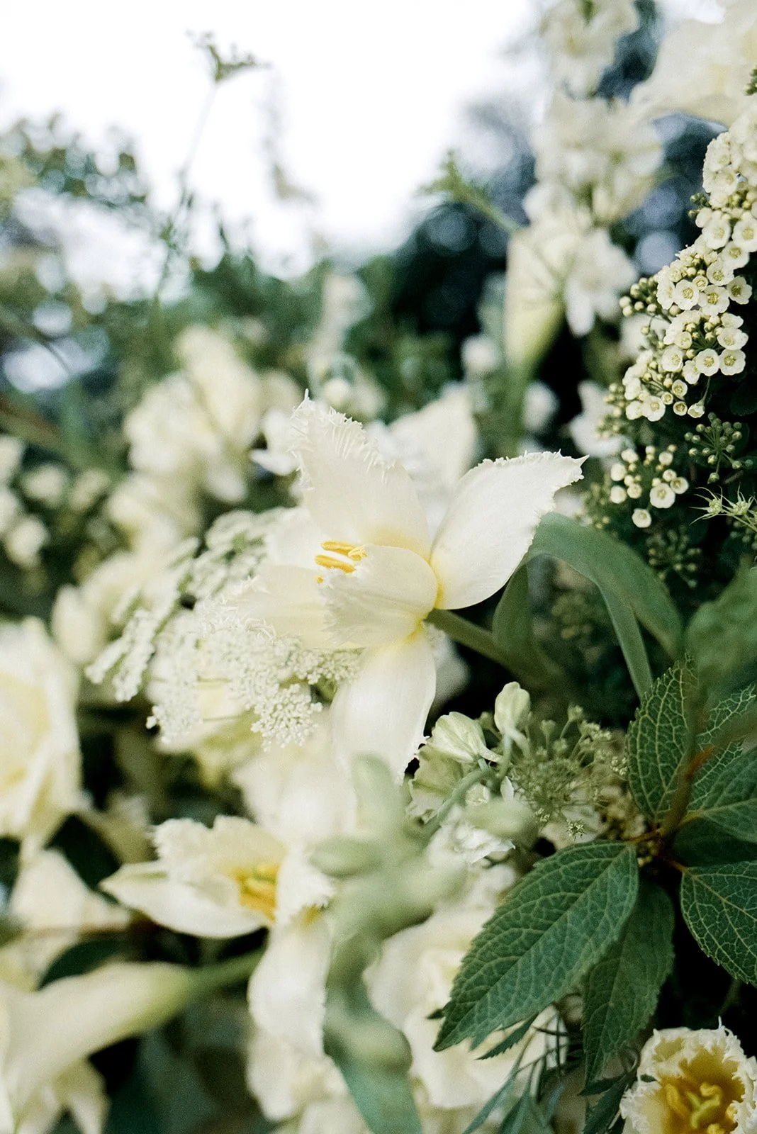 Merrimon-Wynne-M-E-Wedding-Ceremony_-117.jpg