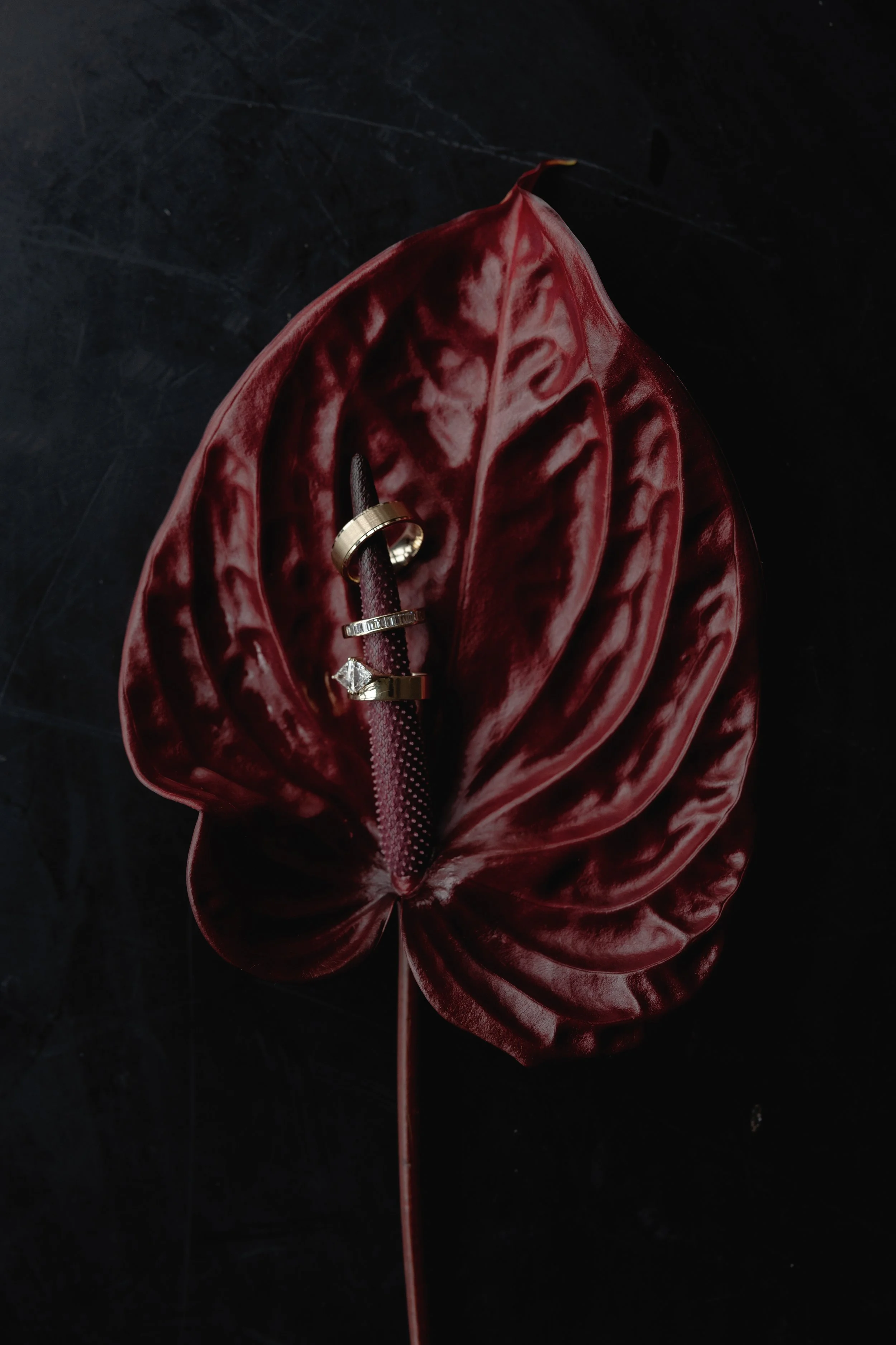 A dark red anthurium flower with two rings placed on its central spike, set against a black background.