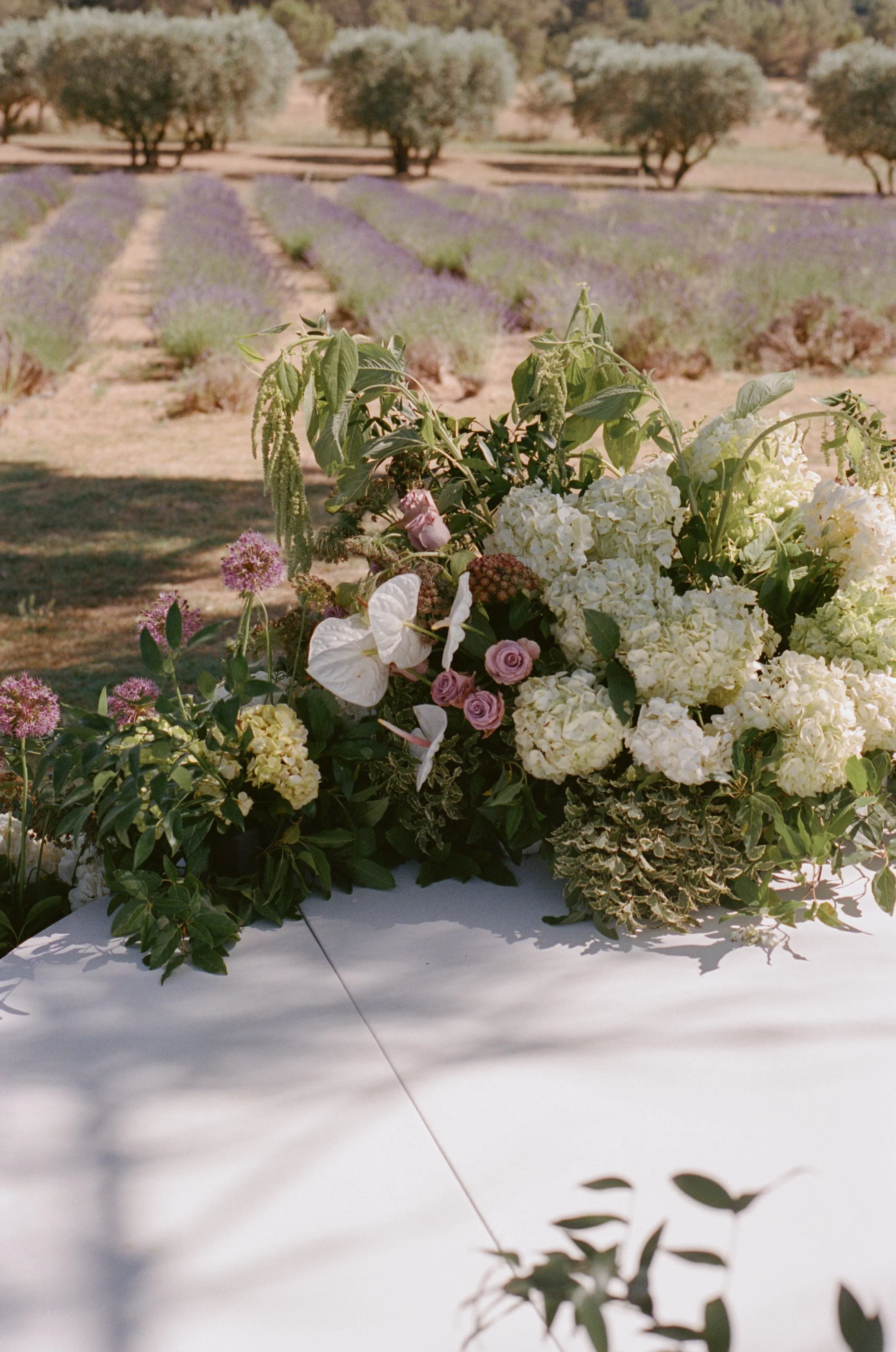 A floral arrangement with white hydrangeas, pink ranunculus, and various greenery on a white table outdoors with rows of lavender and trees in the background.