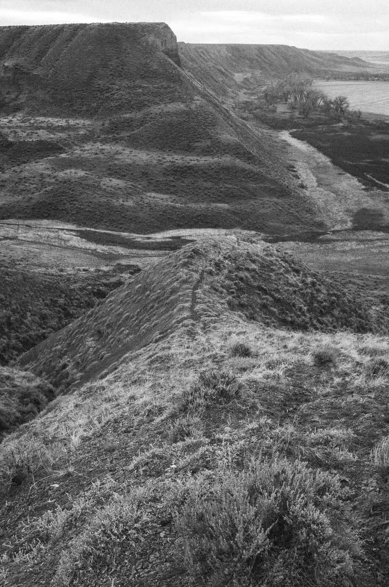 Game Trails — Jay Thomas Neely Creative