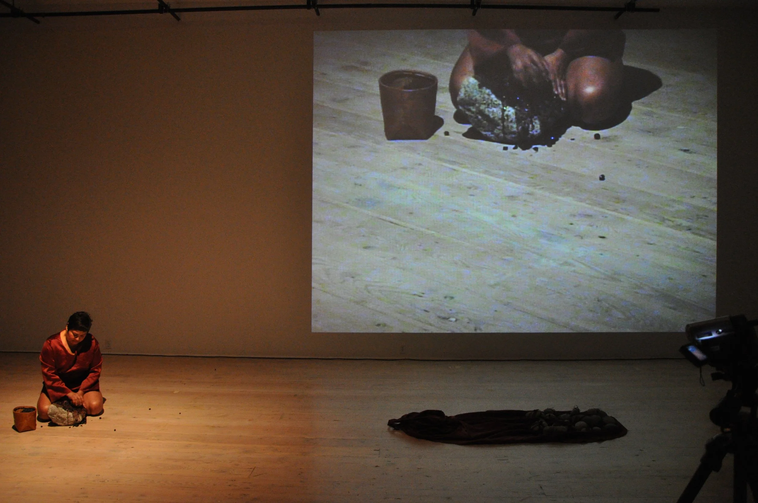 2010, Redskin Imaginary, Lori Blondeau and Dana Claxton