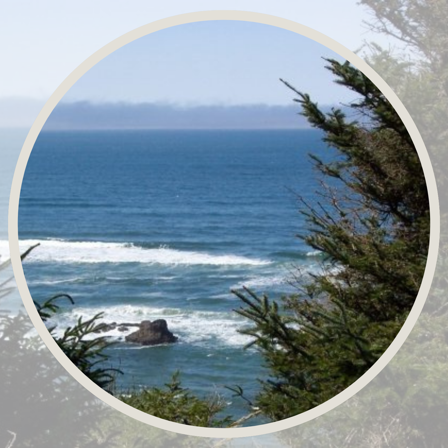 Blue ocean framed by green pine trees