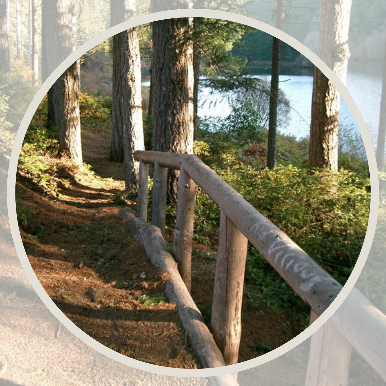 A dirt hiking path and wooden hand rail