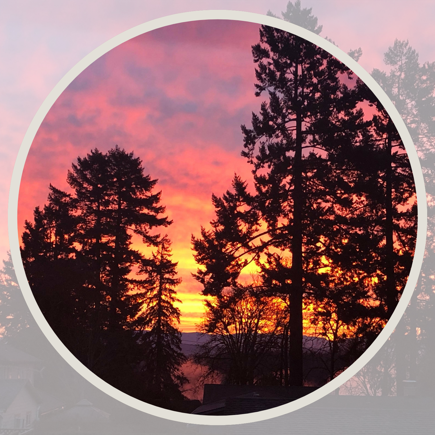 Brilliant red and gold sunset framed by pine trees