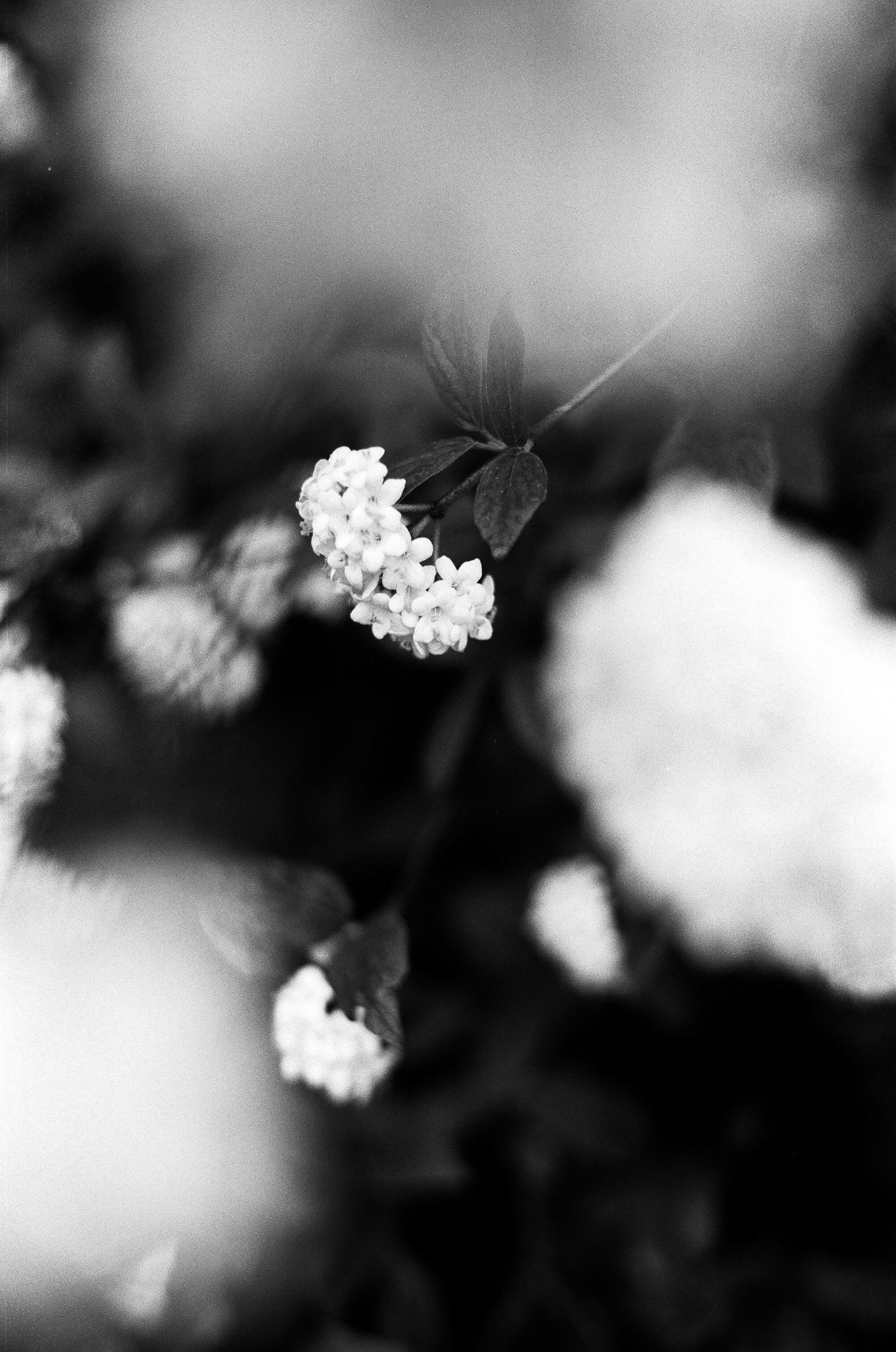 2A26B4F2-5368-4498-85B6-F73FC74B1791.jpeg