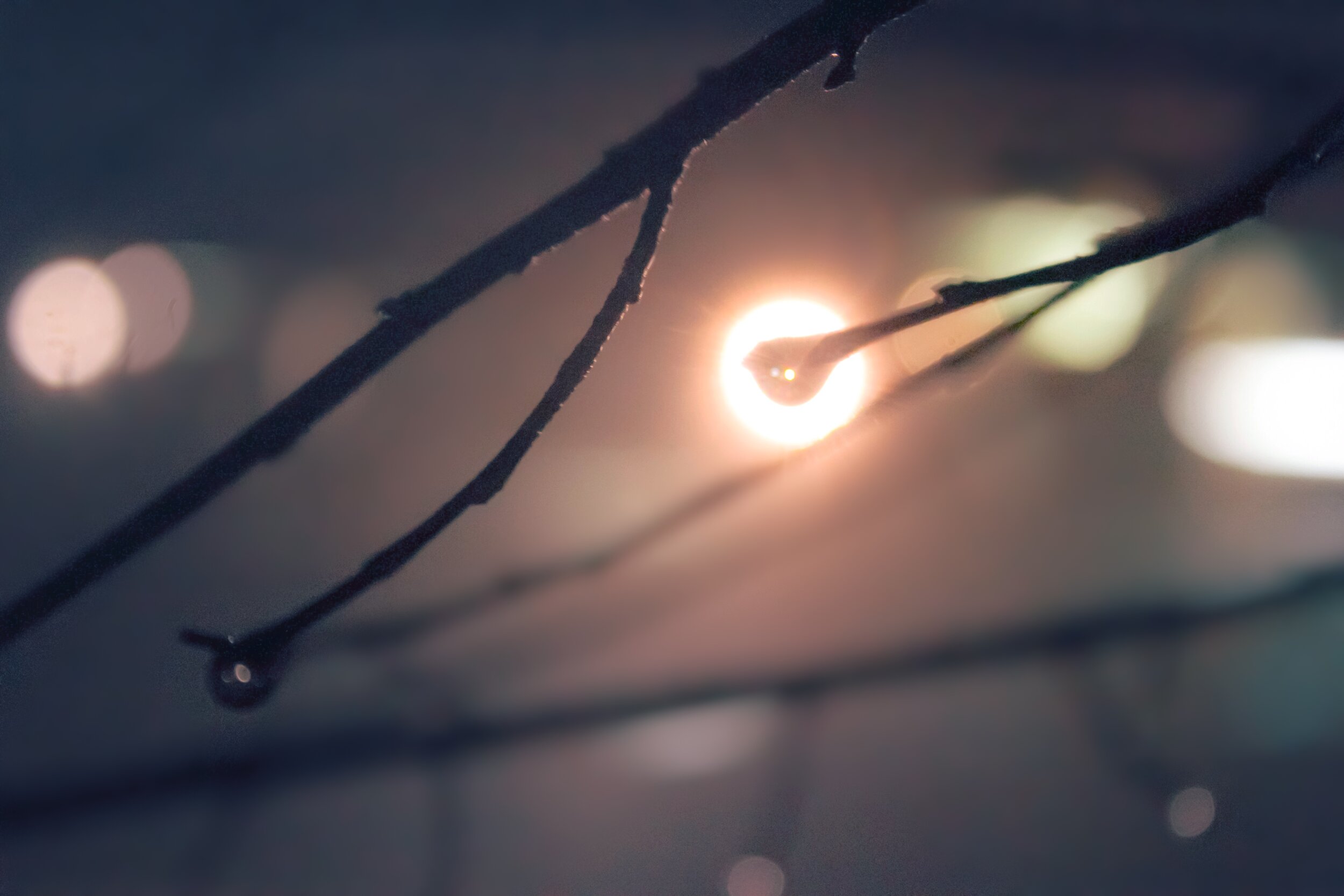 8FCB7605-1257-45AE-94D0-03CC12865867.jpeg