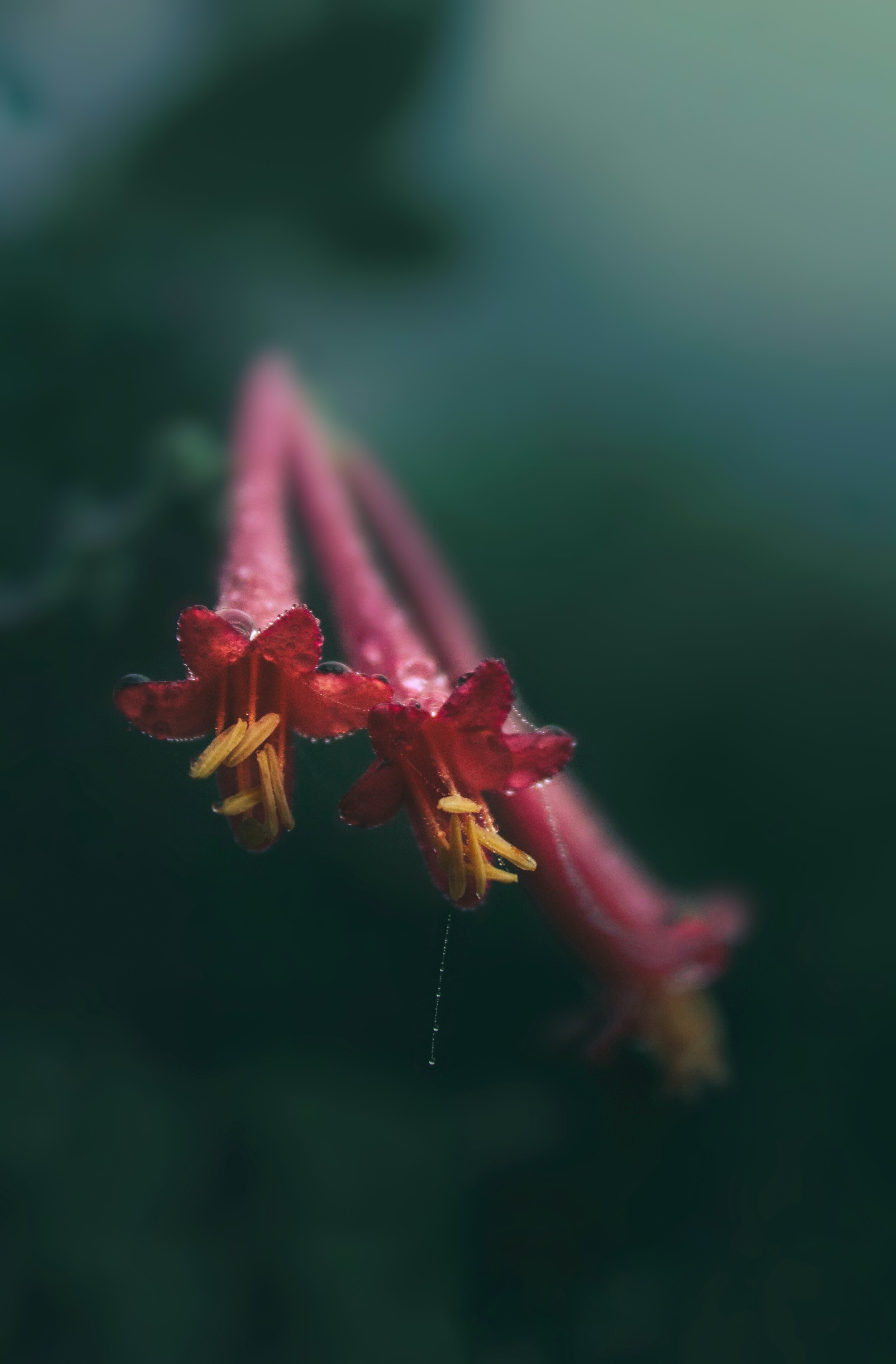 338D952C-8B14-47B1-BA4E-92B7E728CF27.jpeg