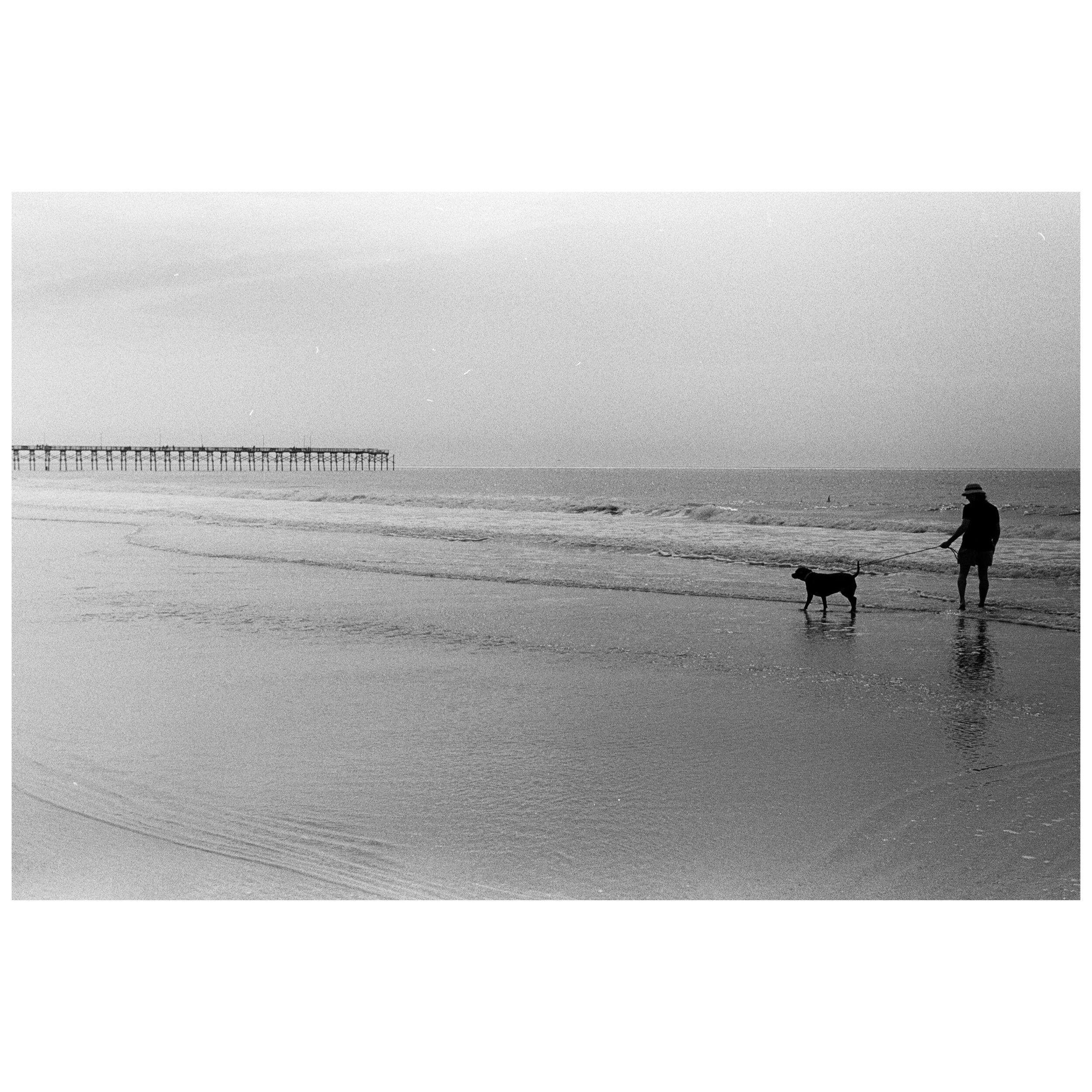 Man's Best Friend