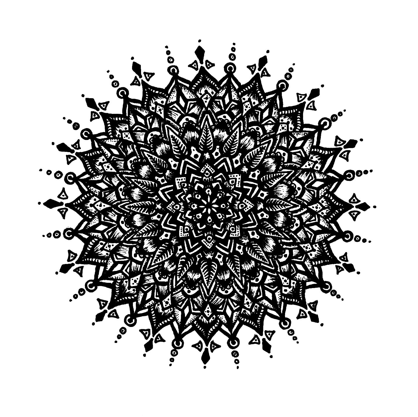 F72A759C-203B-4744-93C9-7831D5A85E6C.jpeg
