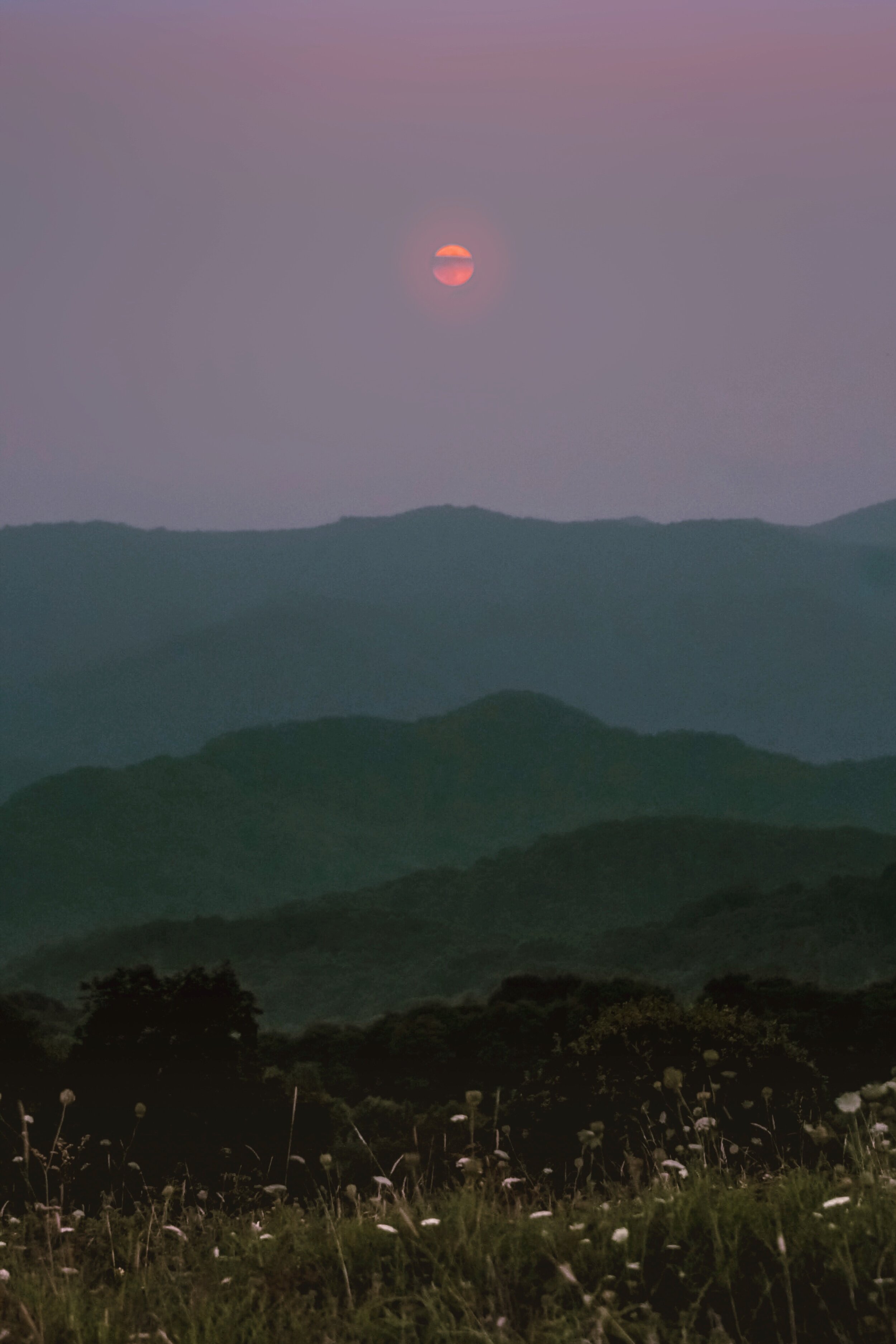 ED444F56-D74B-4E2D-AFB2-A2EEE933A48A.jpeg