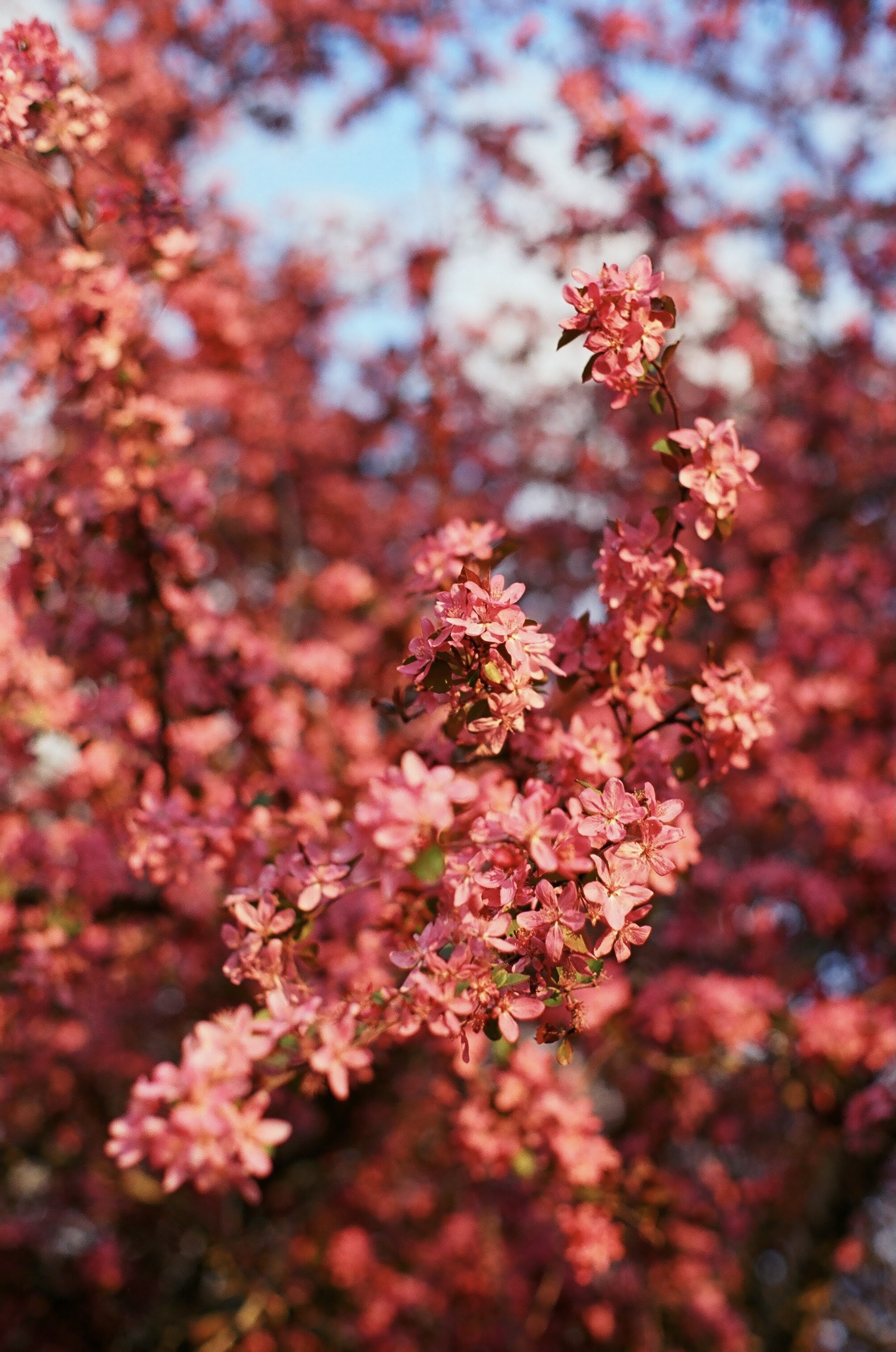 D6826F17-28E3-4A59-B121-04D06E5A48D0.jpeg