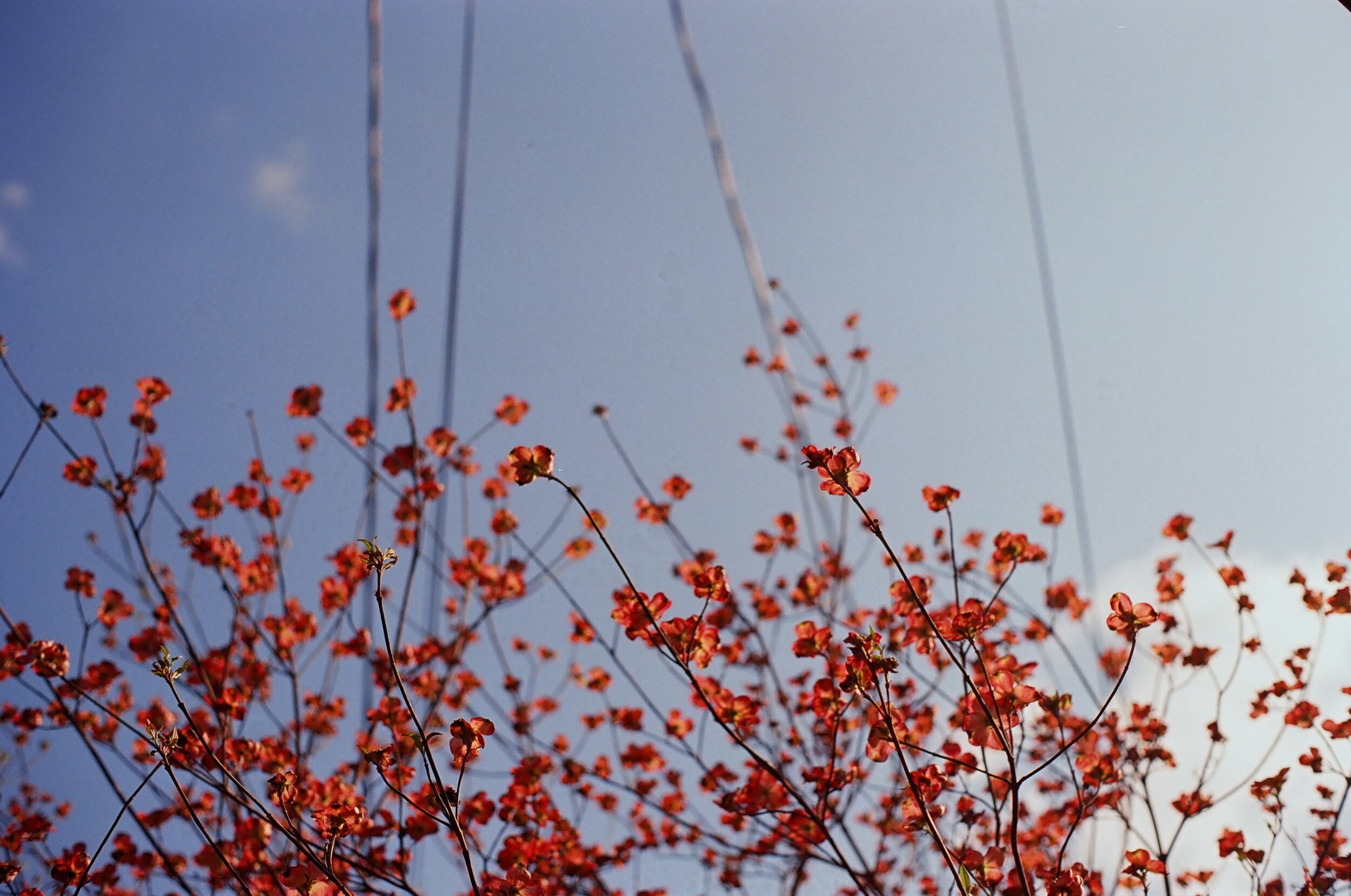 7854BC50-DDC2-4FDC-A012-7EB21A286F51.jpeg