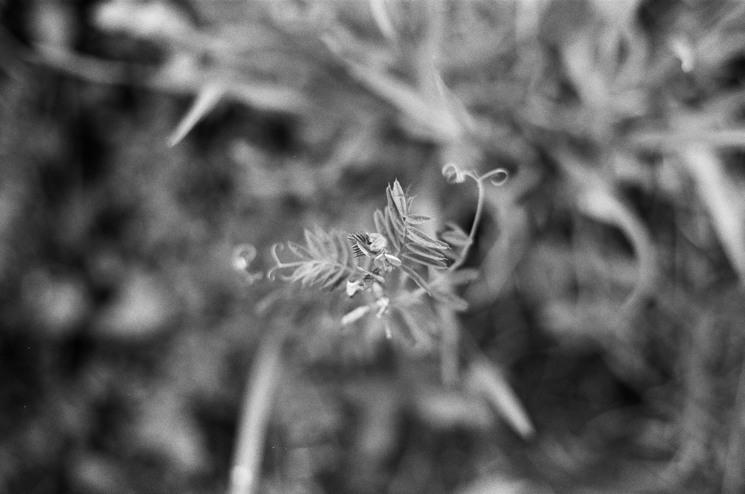 697F57B9-2121-4C5D-AE64-4F2A8B04E646.jpeg