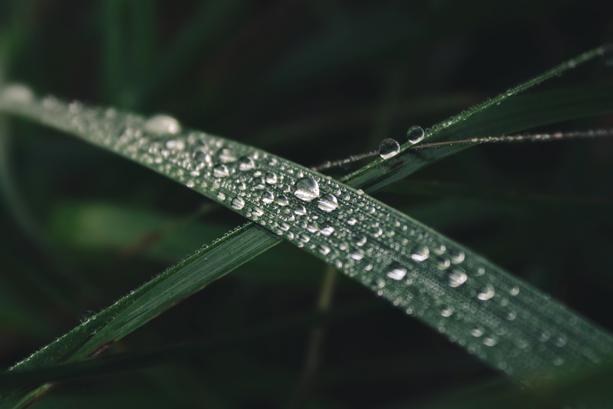 0B12E7CA-1275-45EB-B0FC-9B2CDDB73193.jpeg