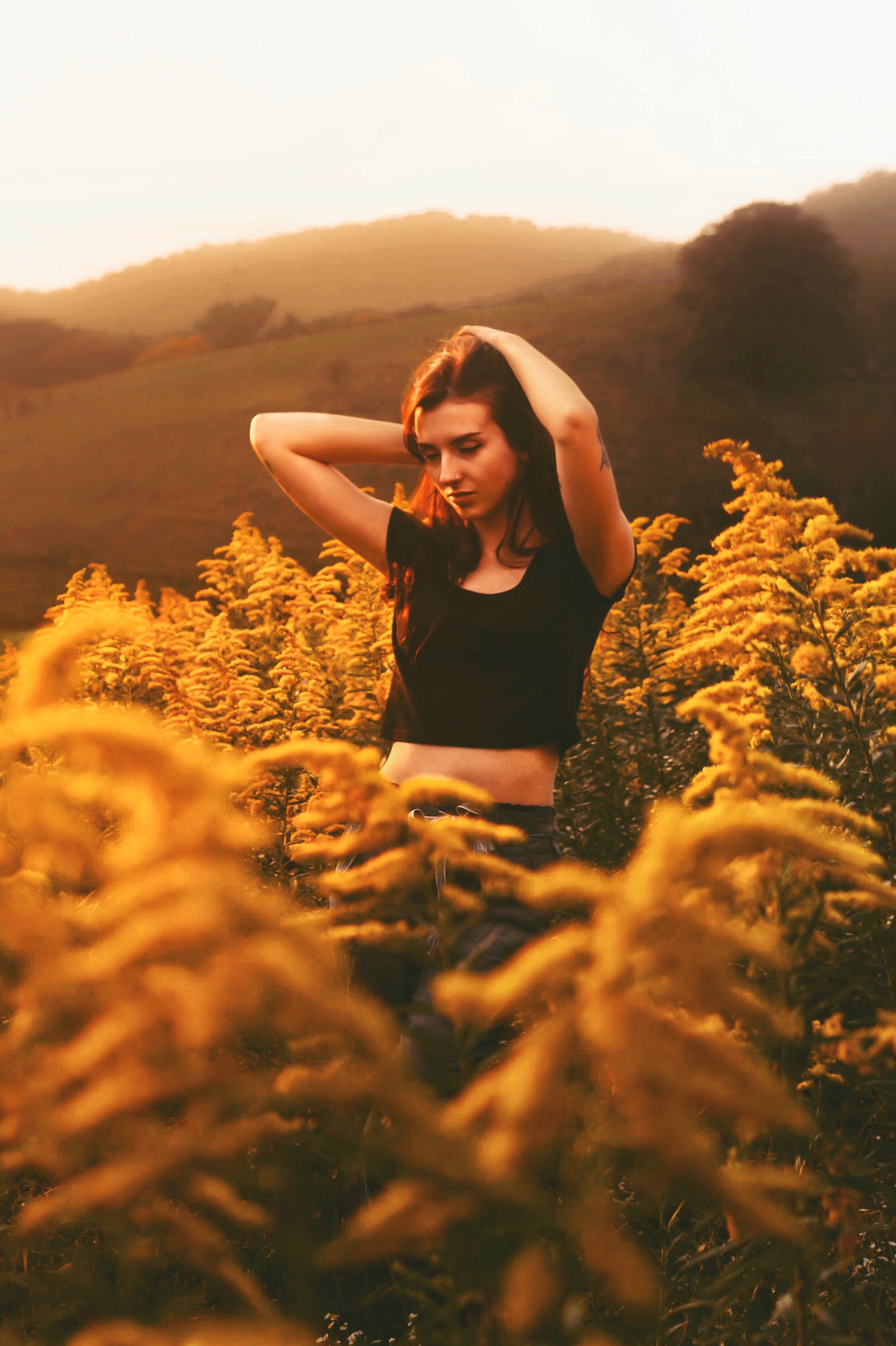 Goldenrod Hour