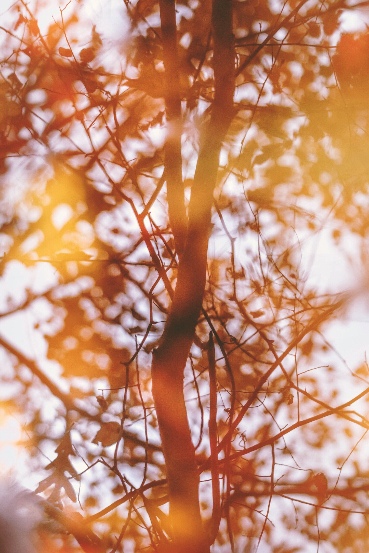 FA235B3D-504B-40F7-8D0B-7121113E7E0F.jpeg