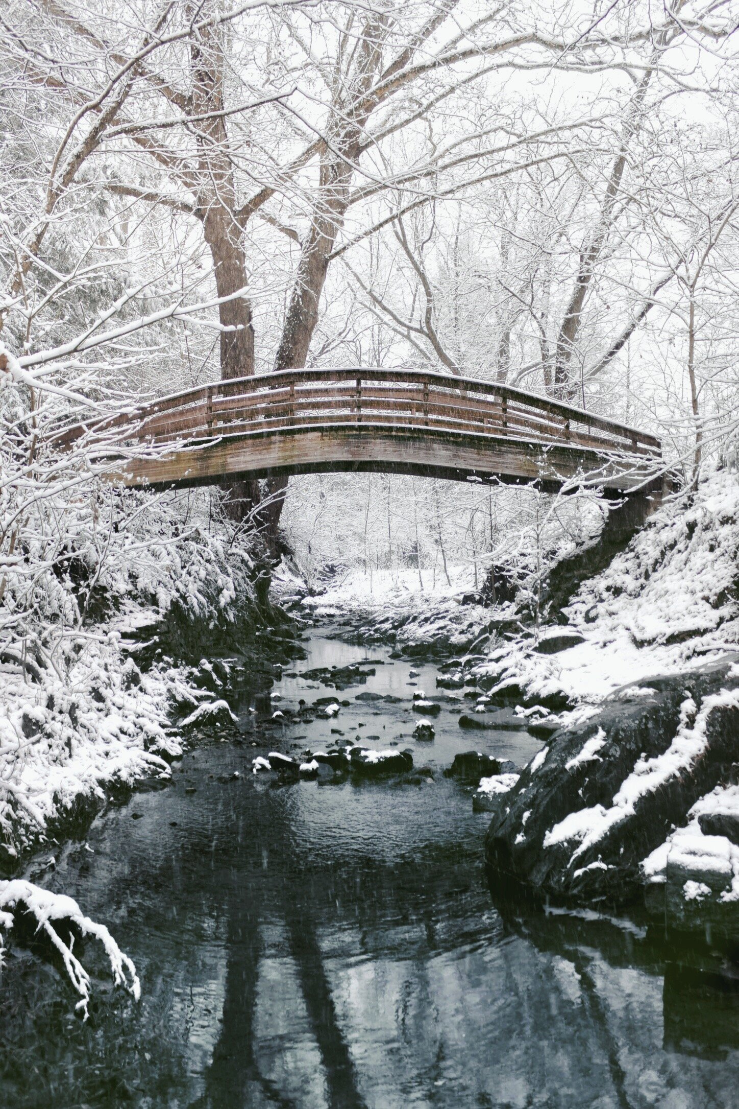 D804DA29-518E-4337-BA92-C7E017511F4E.jpeg