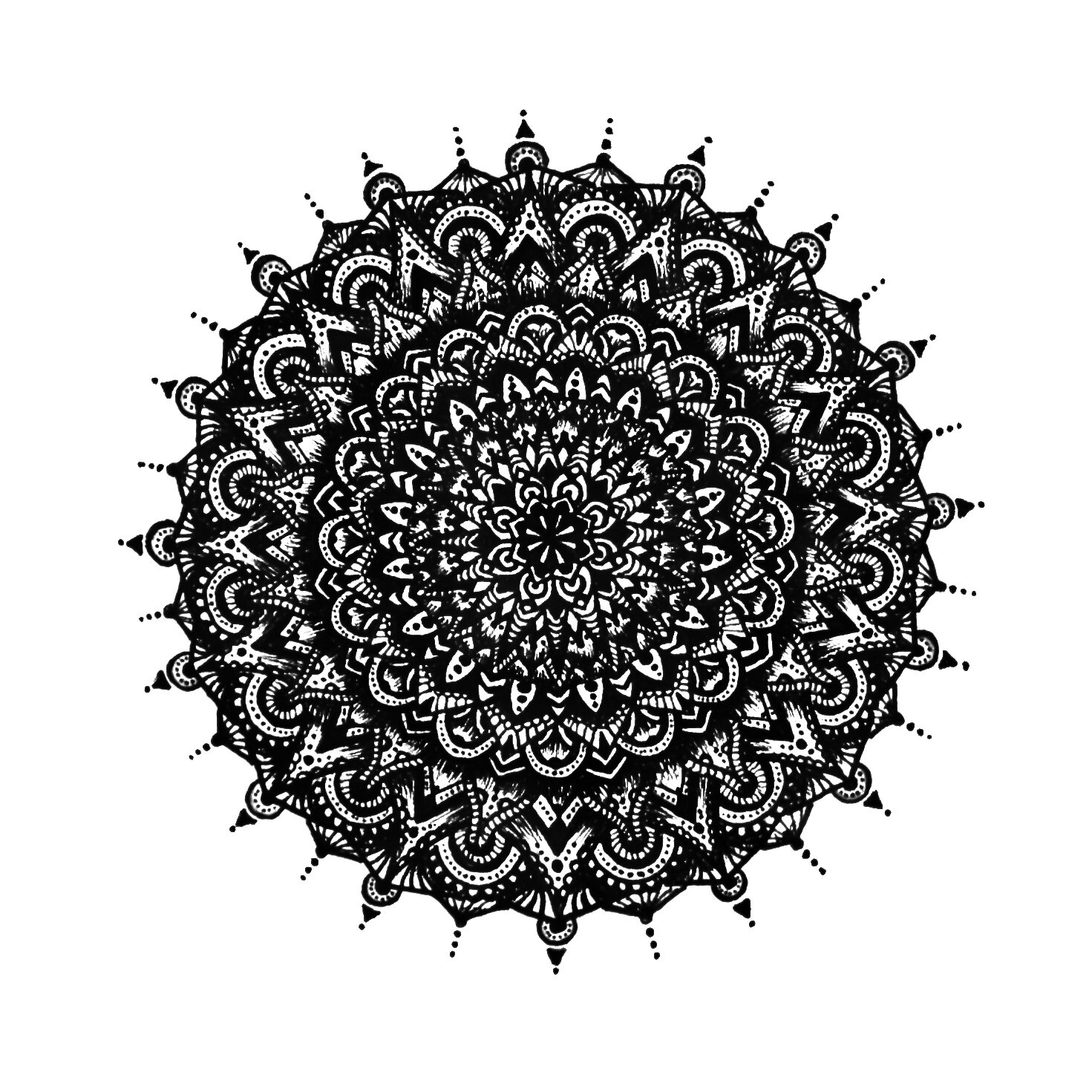 785F3D37-7749-4230-9124-D6AF0C5F6548.jpeg