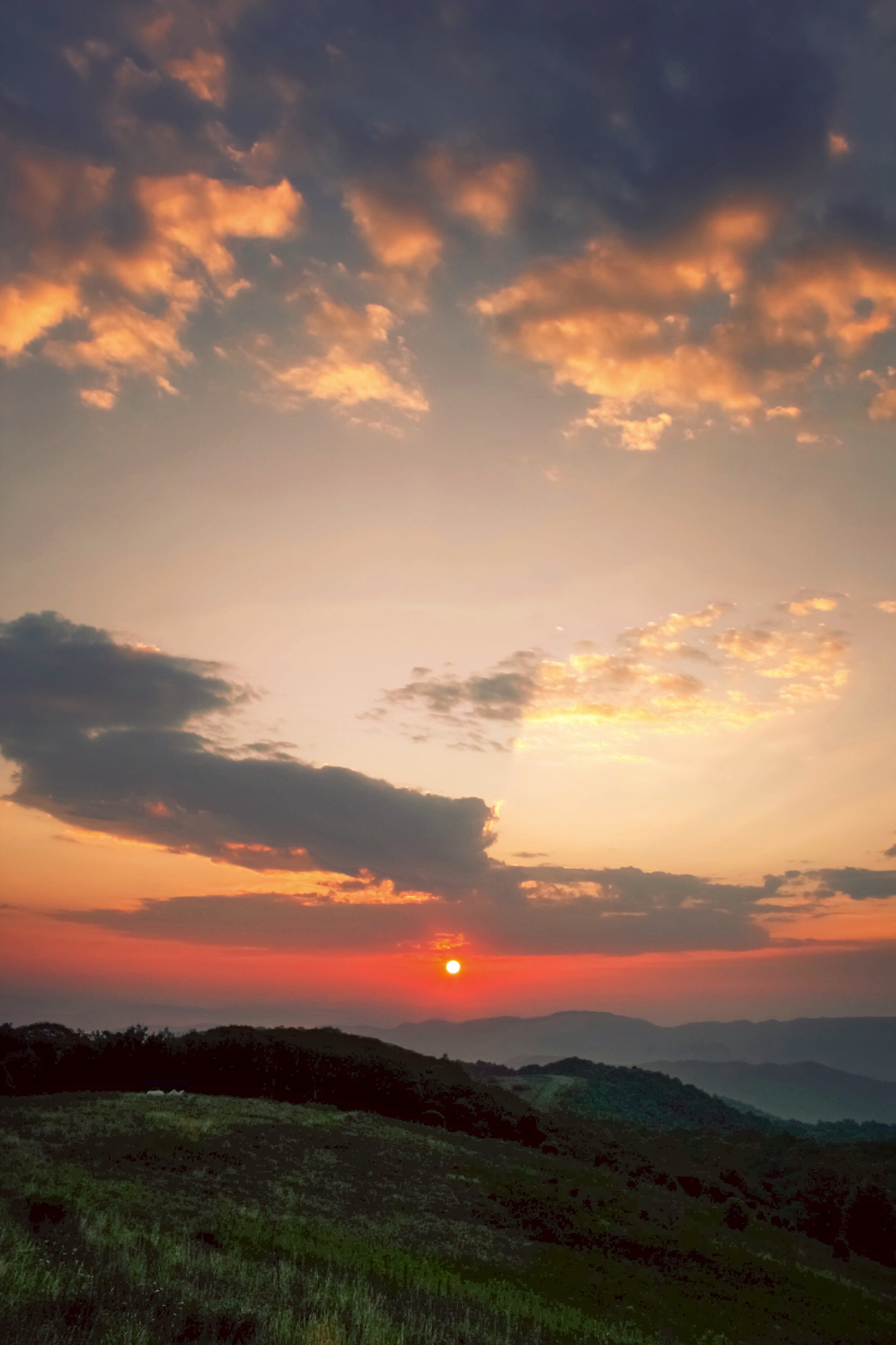 8C22861B-FB04-4C0F-B618-C7B1ED383E7B.jpeg